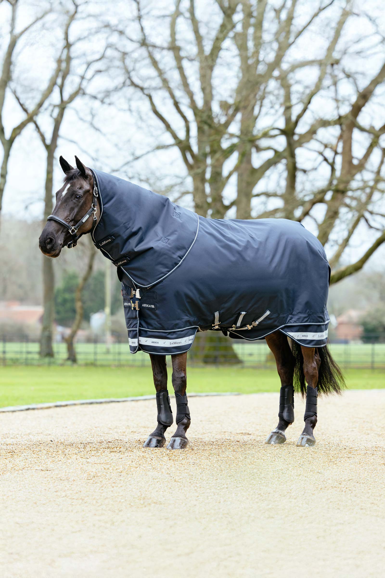 Navy LeMieux Arika Storm-Tek Turnout Rug With Detachable Neck, 100 g