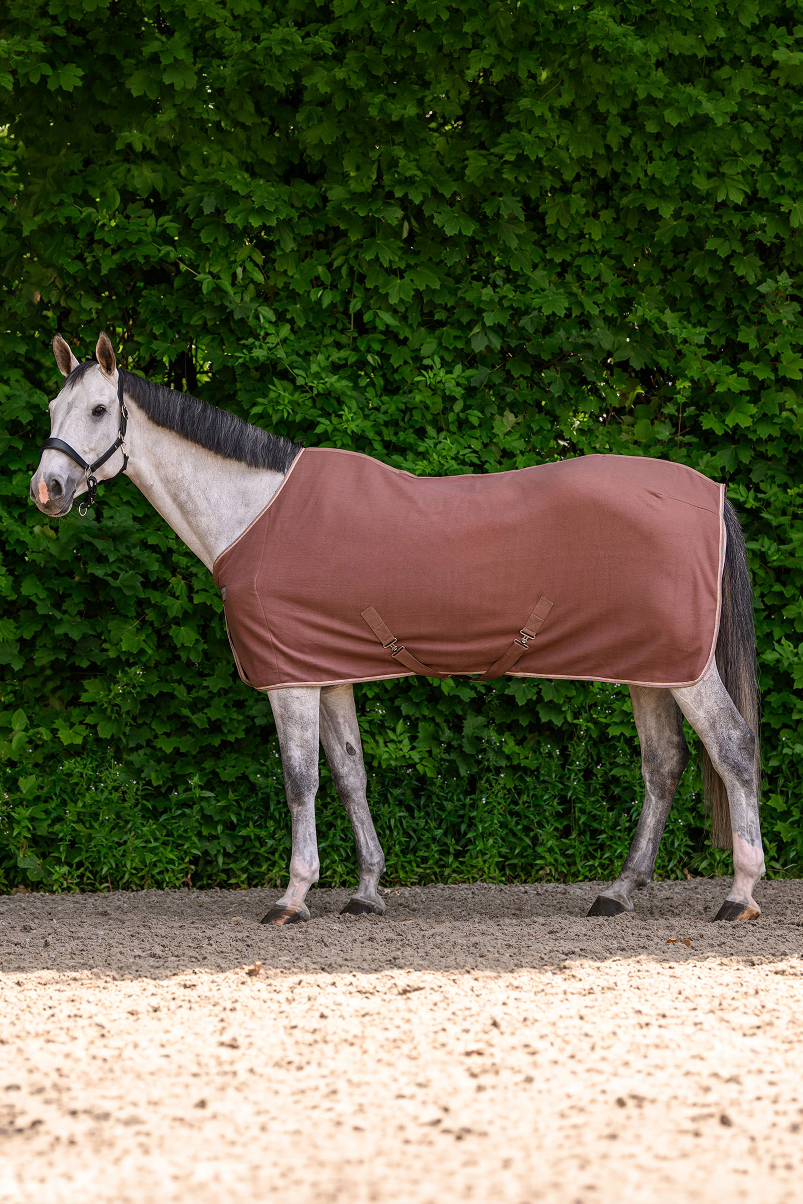 Mocca Waldhausen ECONOMIC Fleece Rug with Cross Surcingles