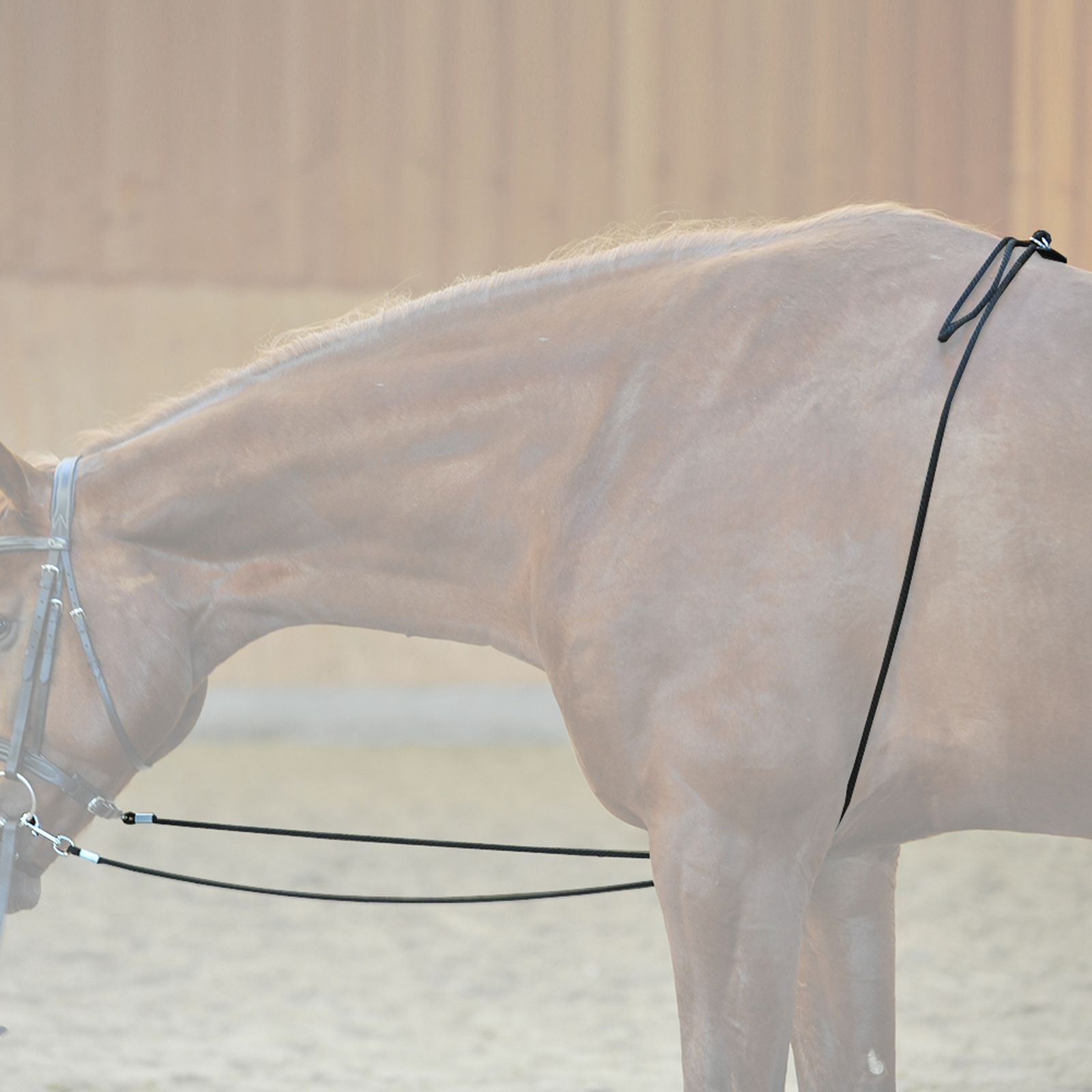 Kavalkade HO lungeing aid