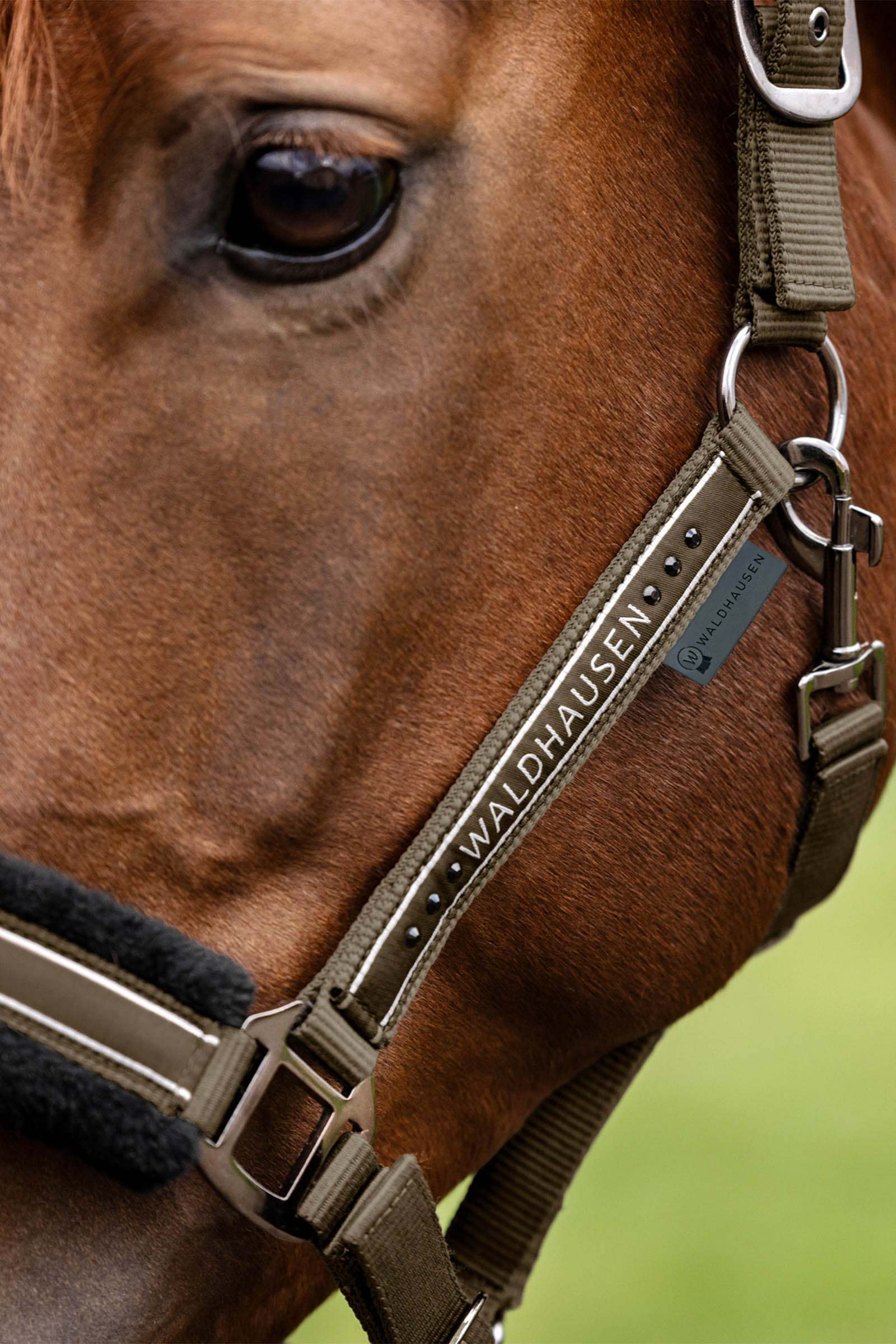 Waldhausen Elegant Halter