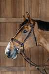Dy'on New English Plaited Bridle With Flash Noseband 