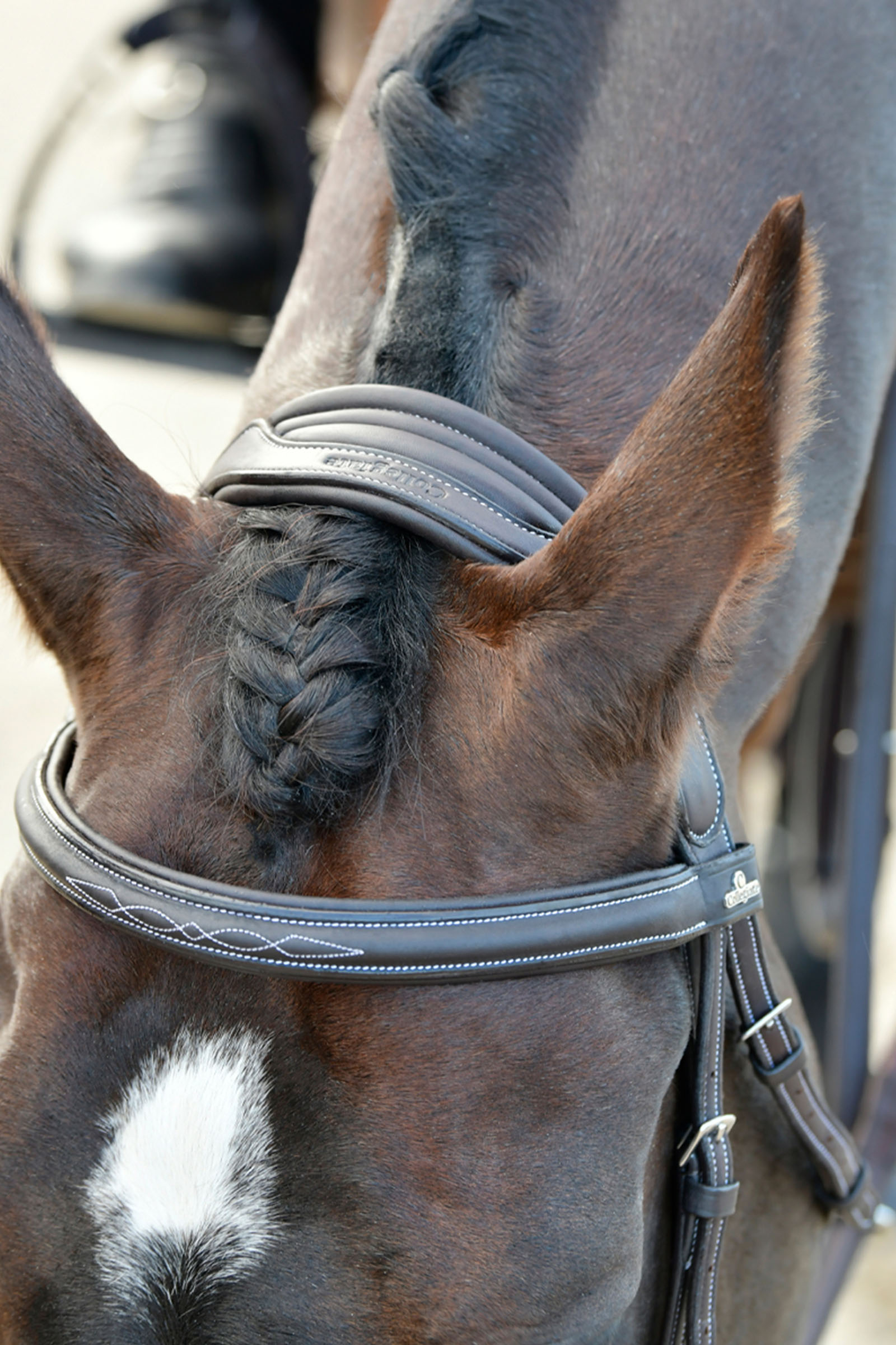 Collegiate Comfitec Opulux Fancy Stitch Padded Hanoverian Bridle