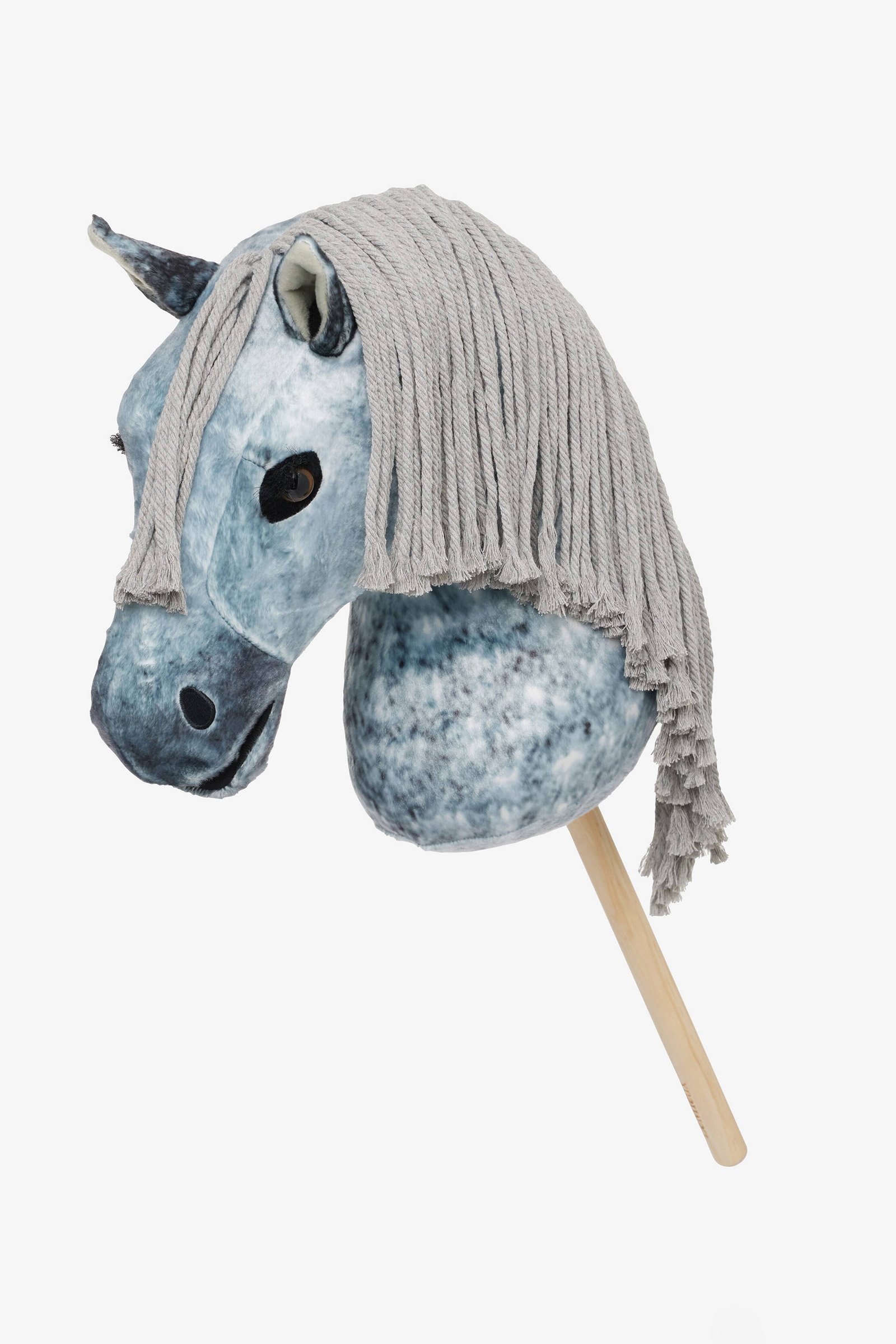 Sam LeMieux Hobby Horse