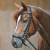 Kavalkade Bridle Line Ecoline, drop noseband