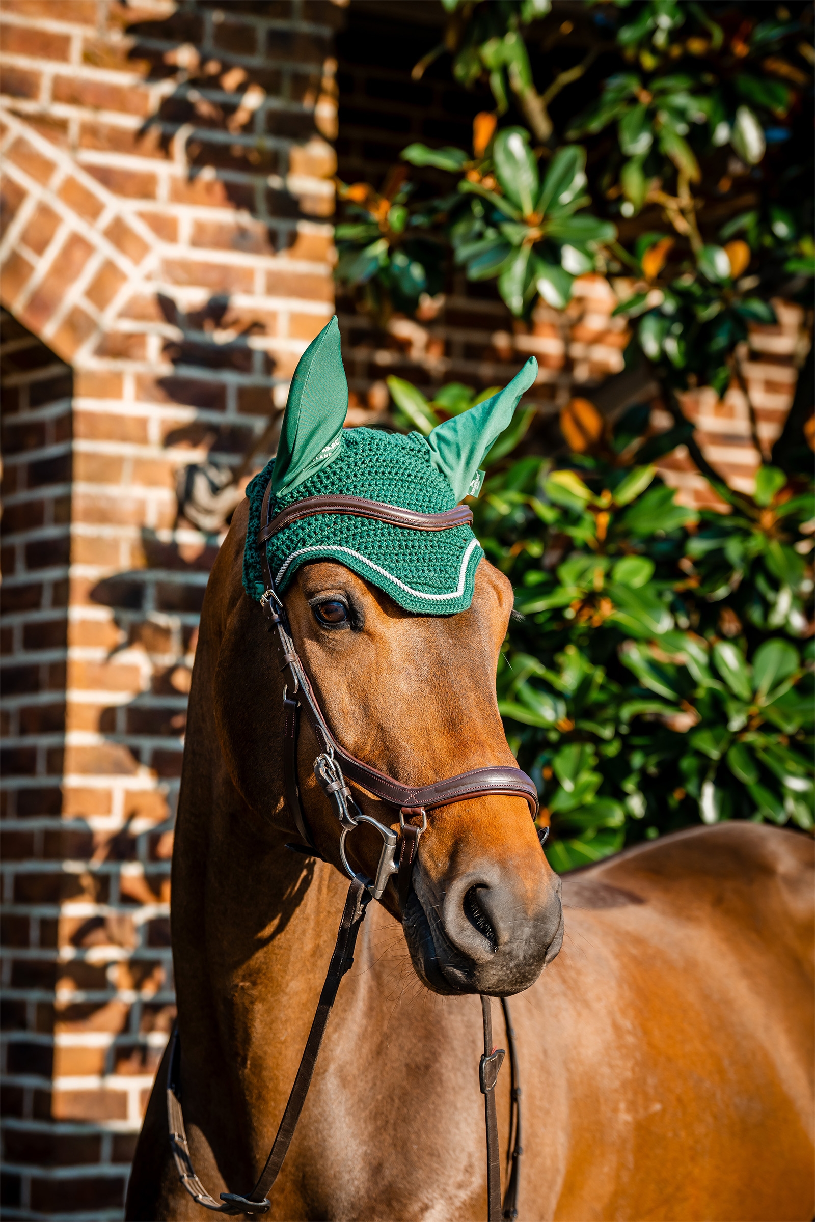 Hunter Green Horseware Signature Ear Net