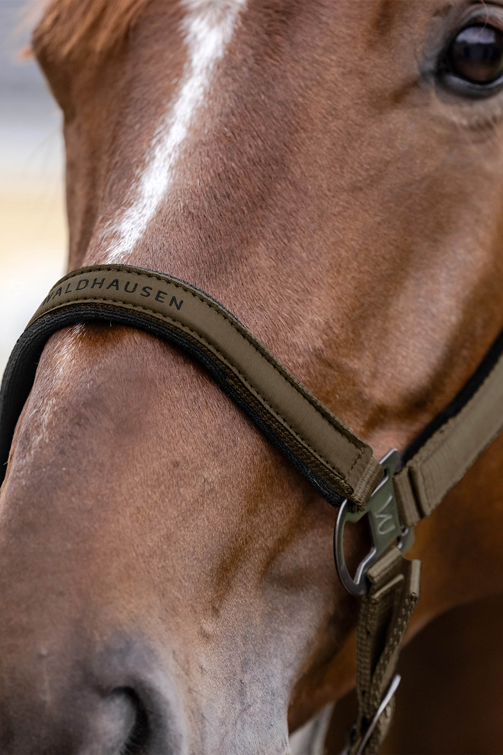 Waldhausen Athletic Halter 