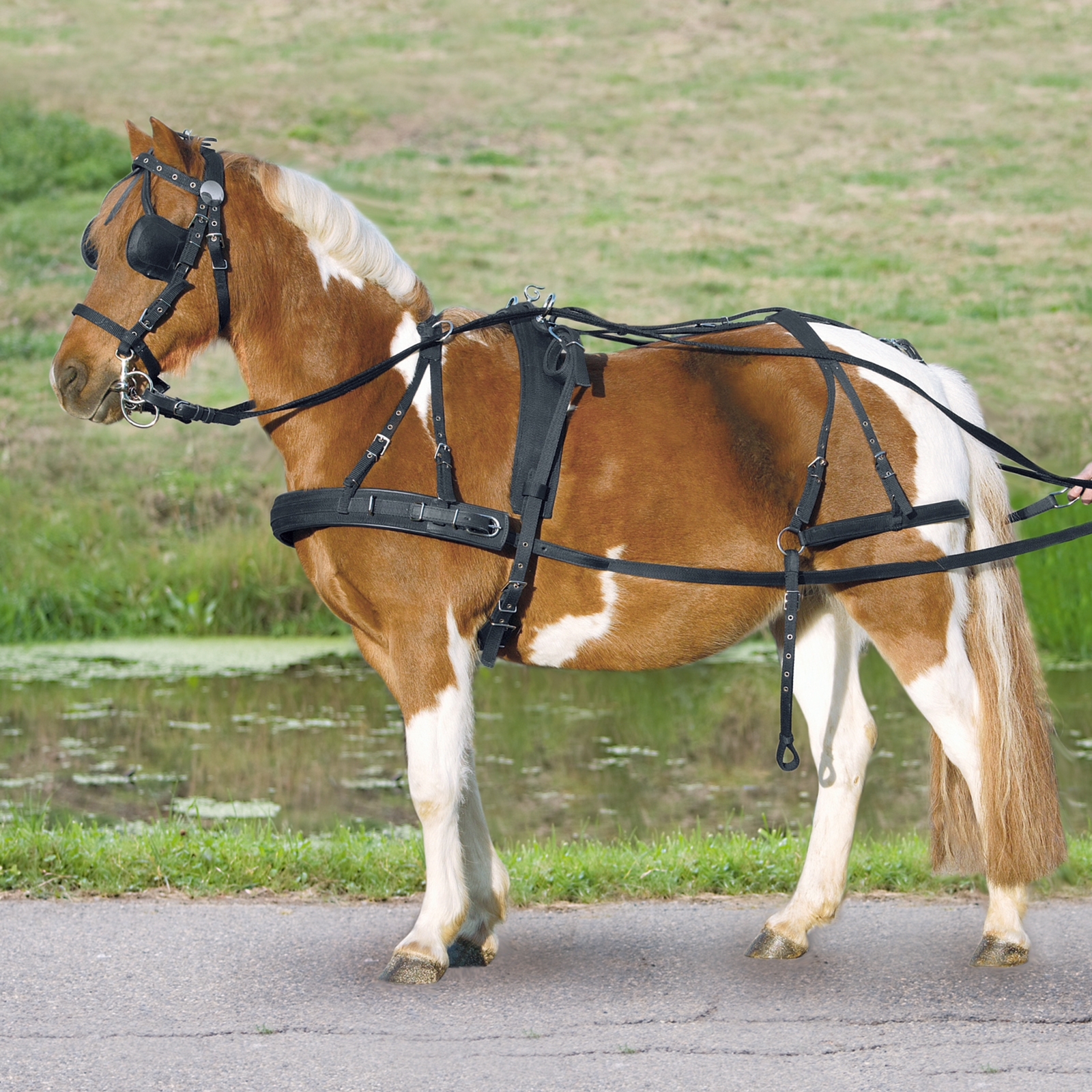 Waldhausen Single Harness Pony and Shetty