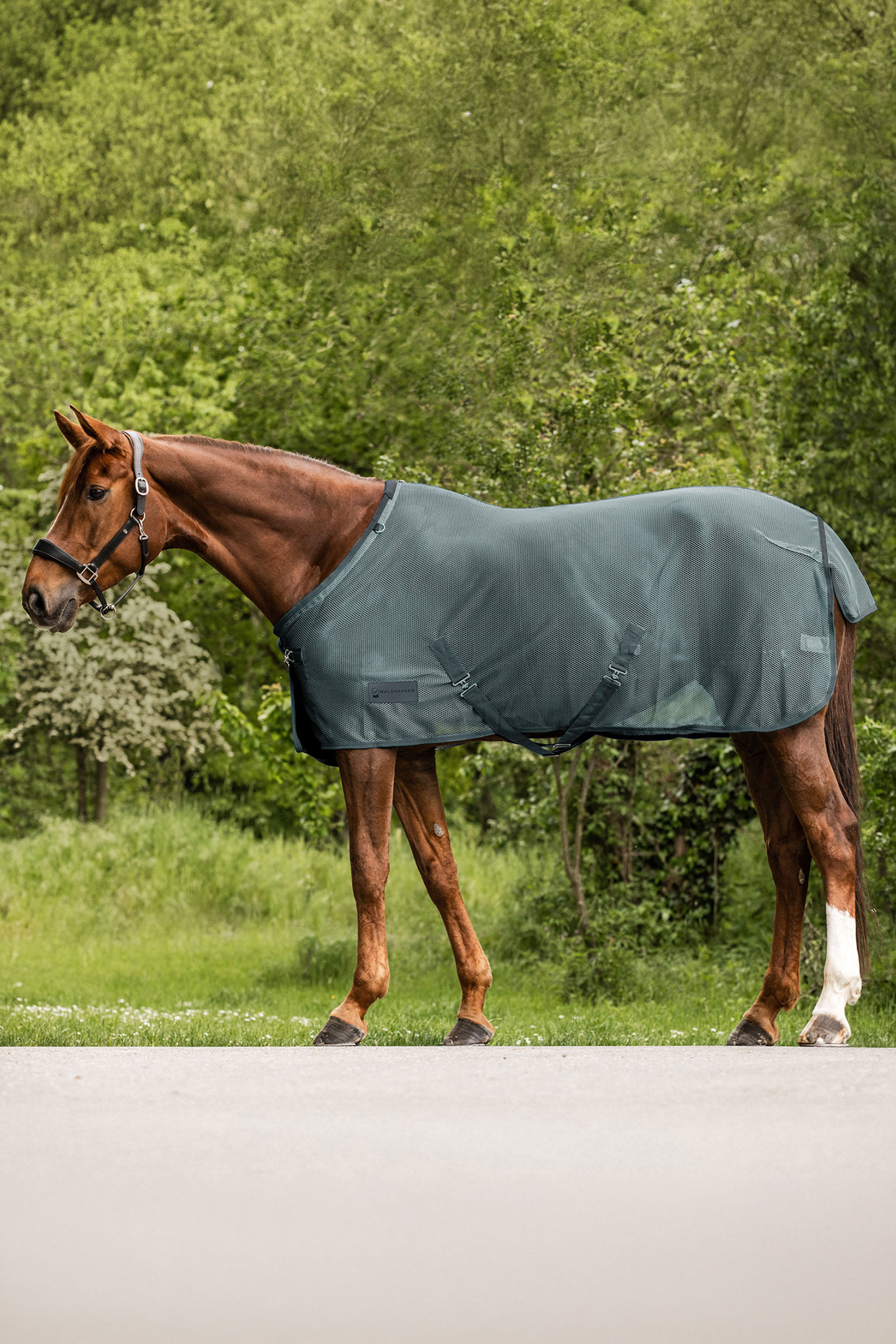Pine Green Waldhausen Comfort Fly Rug