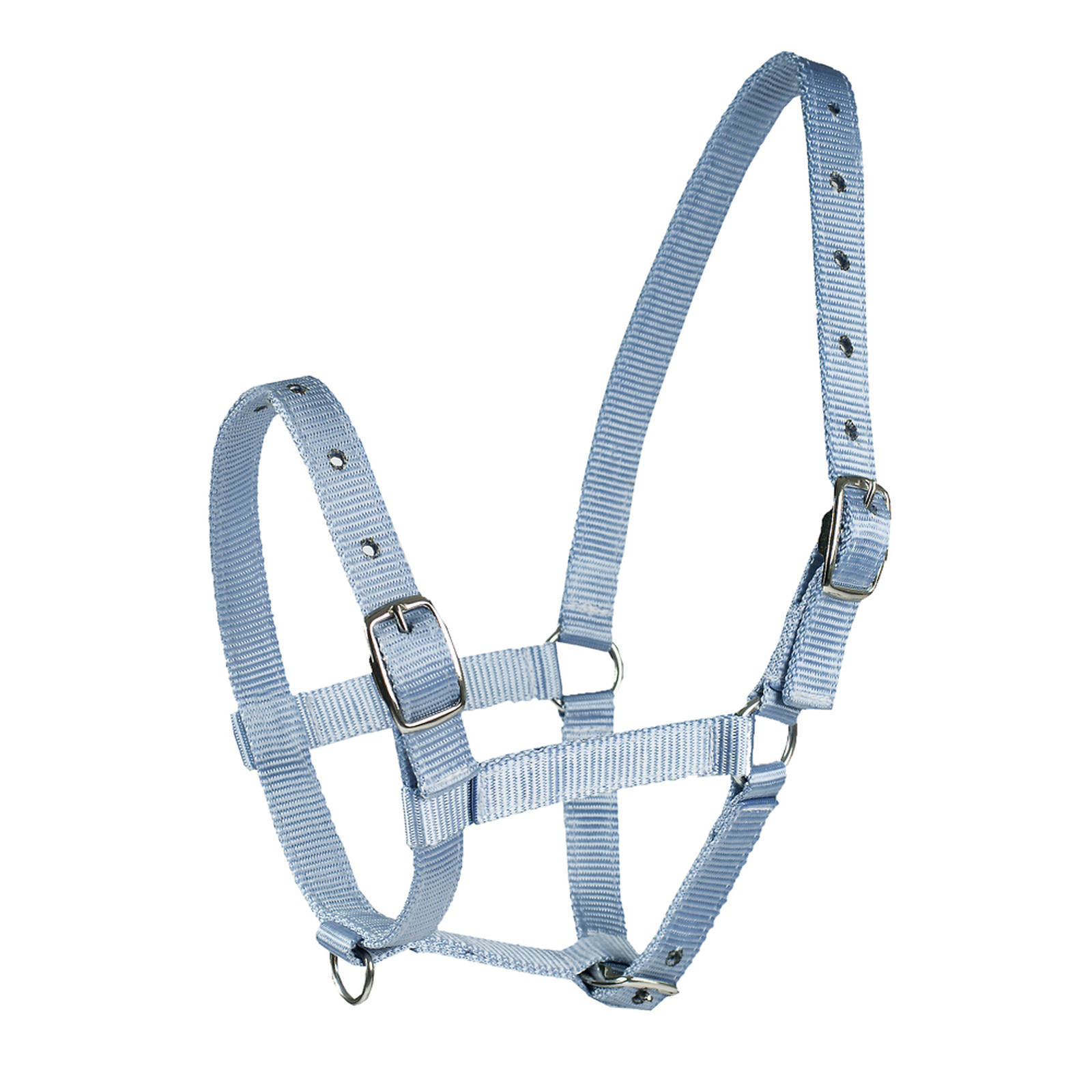 Light Blue Horze Foal Halter