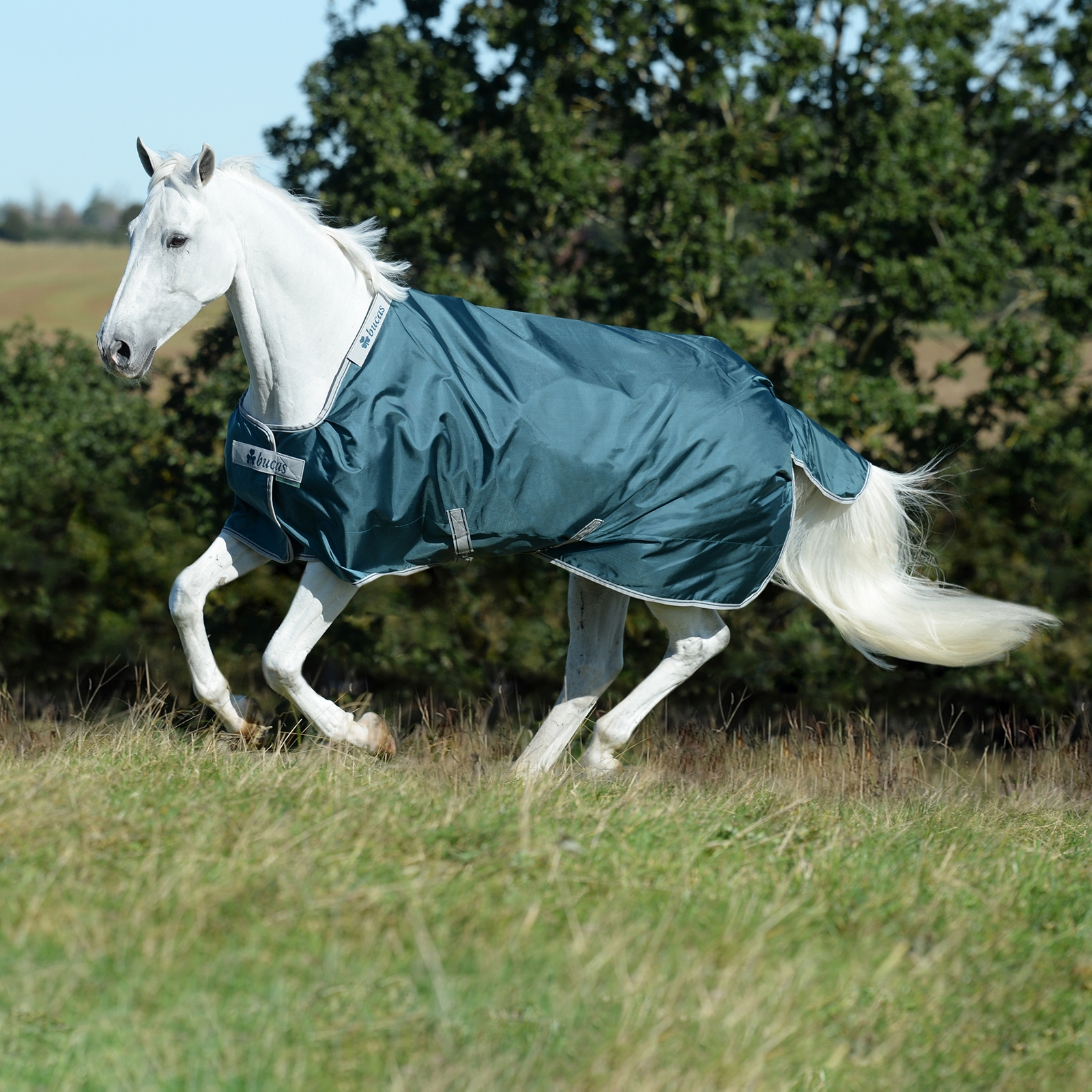 Bucas Atlantic Turnout Rug, 50g