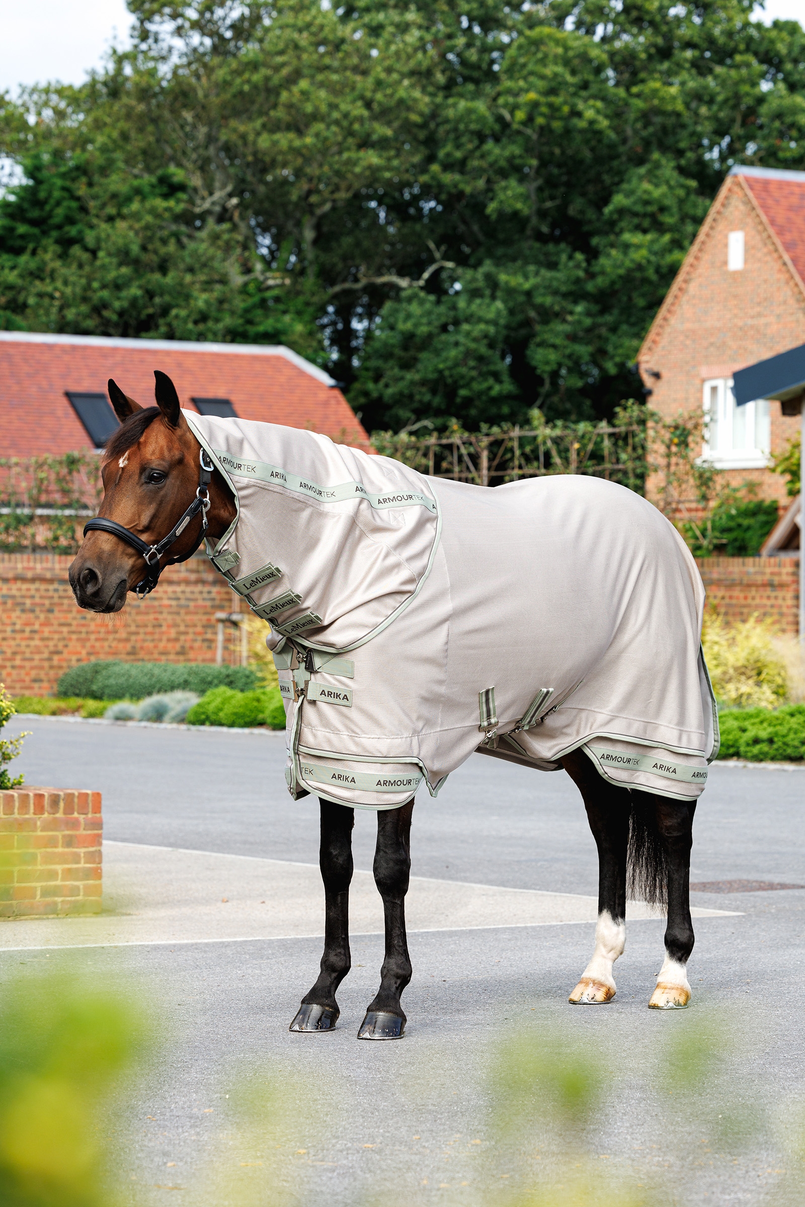 LeMieux Arika Armour-Tek Fly Rug With Detachable Neck