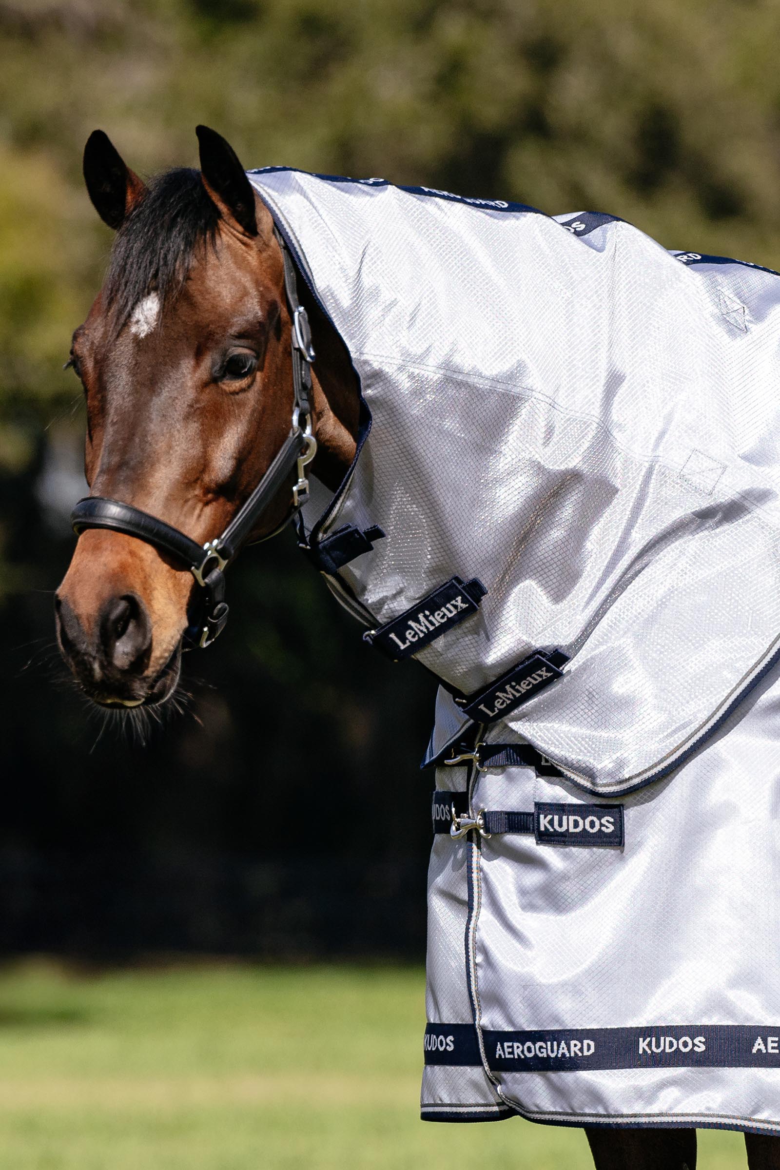 LeMieux Kudos AeroGuard Fly Rug w. Detachable Neck