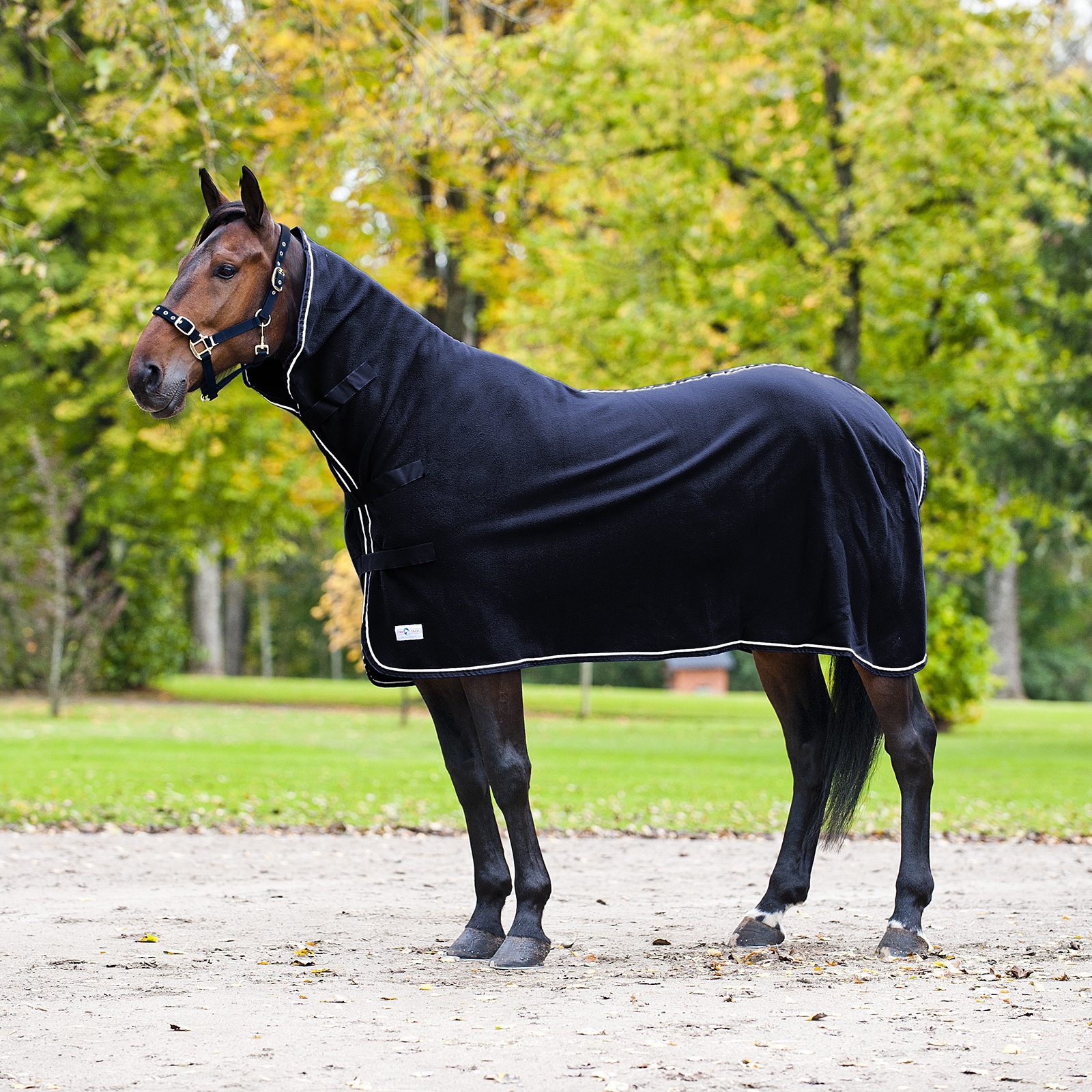 Dark Blue/Dark Blue Finntack Pro High Neck Cooler Rug
