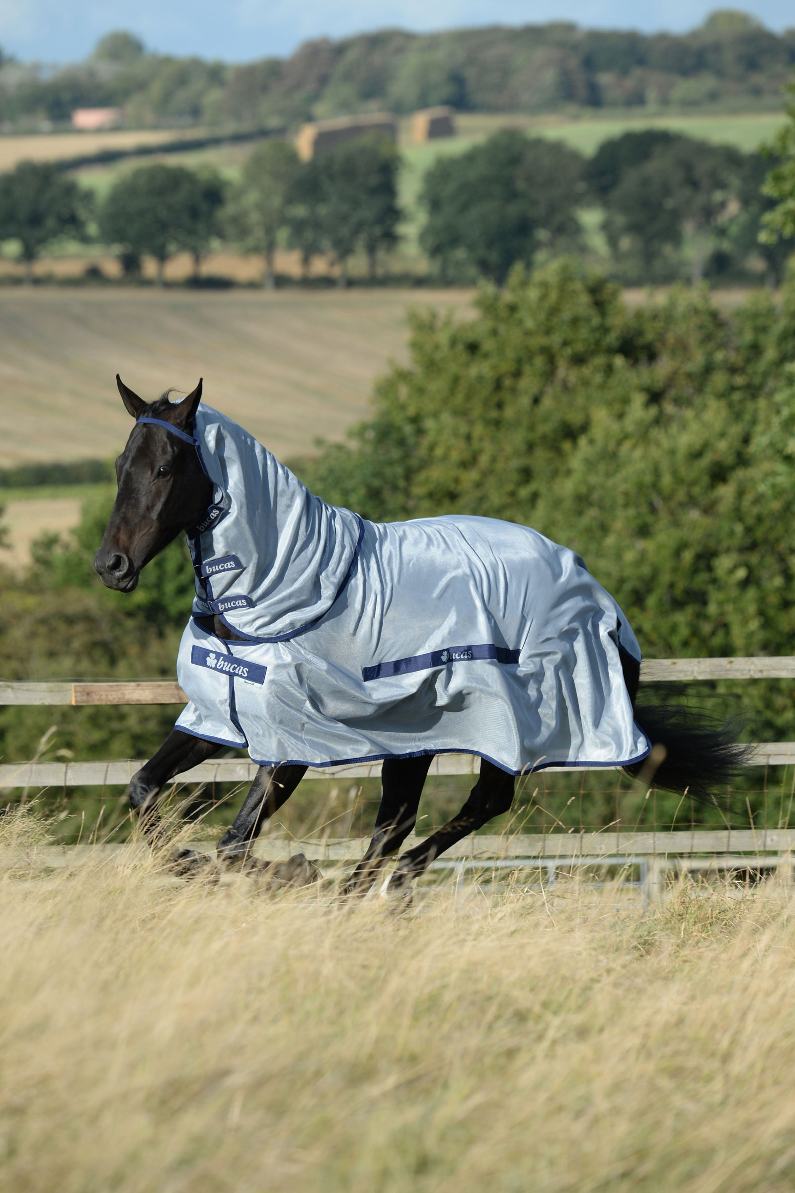Bucas Buzz-Off Full Neck Fly Rug With Fixed Neck