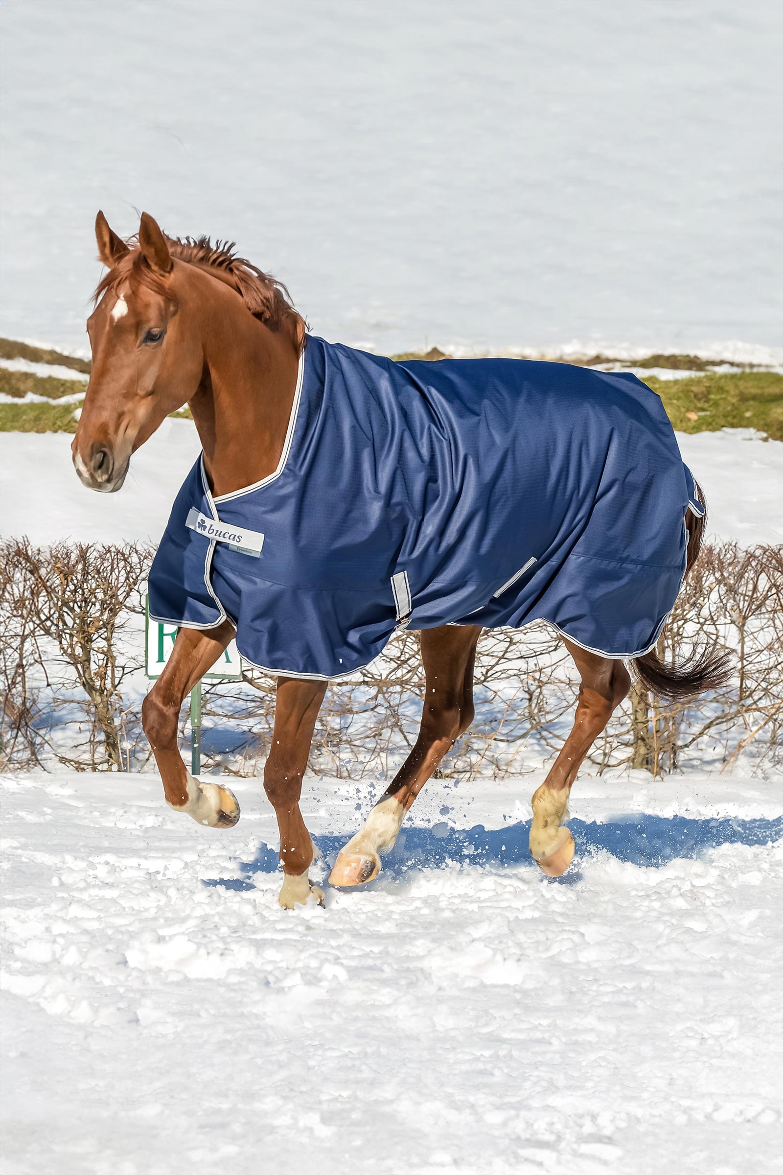 Bucas Freedom High Neck Turnout Rug, 150g