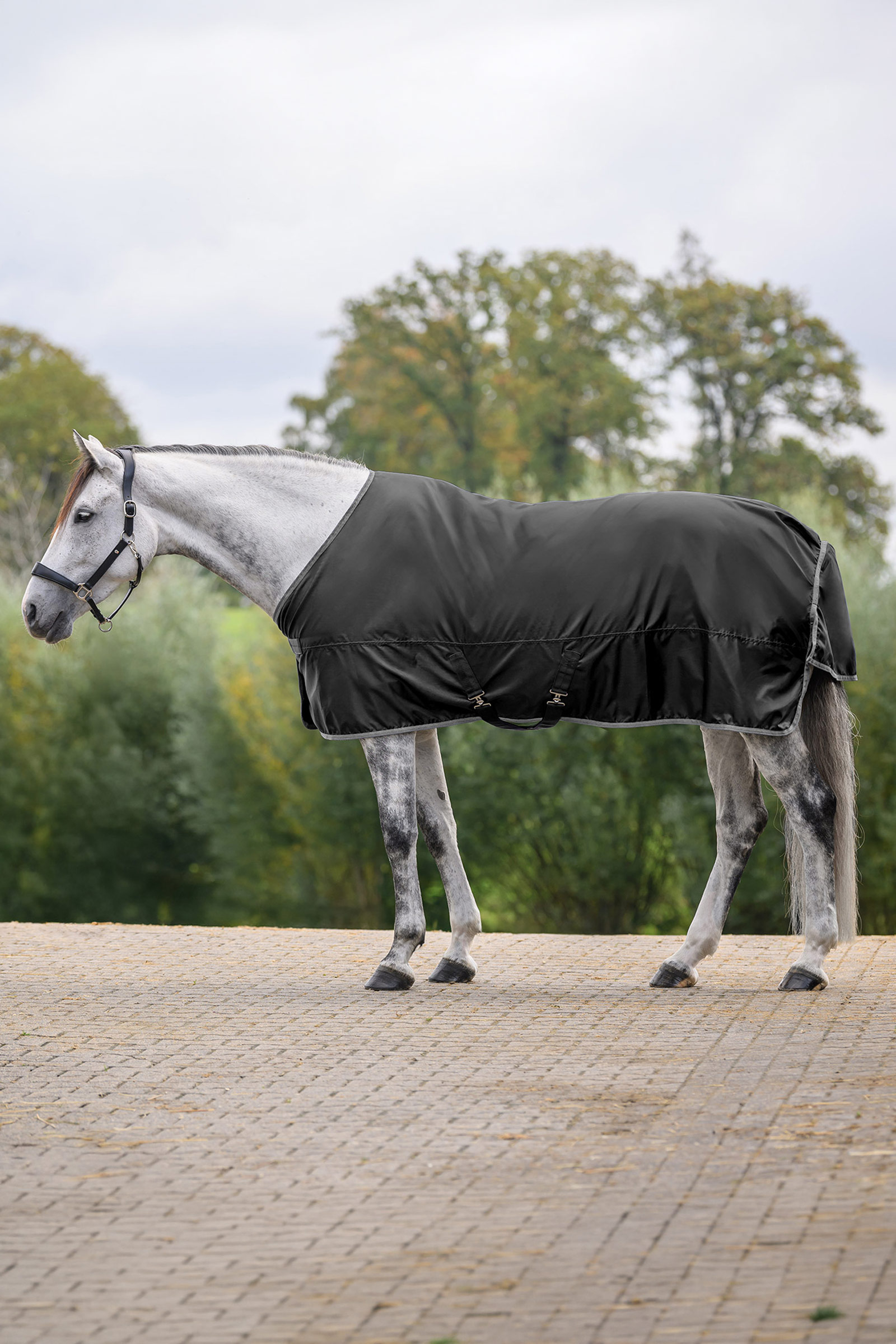 Black Waldhausen ECONOMIC Rain Rug