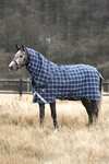 Horseware Rhino Plus Vari-Layer Turnout Rug With Detachable Neck, 250g