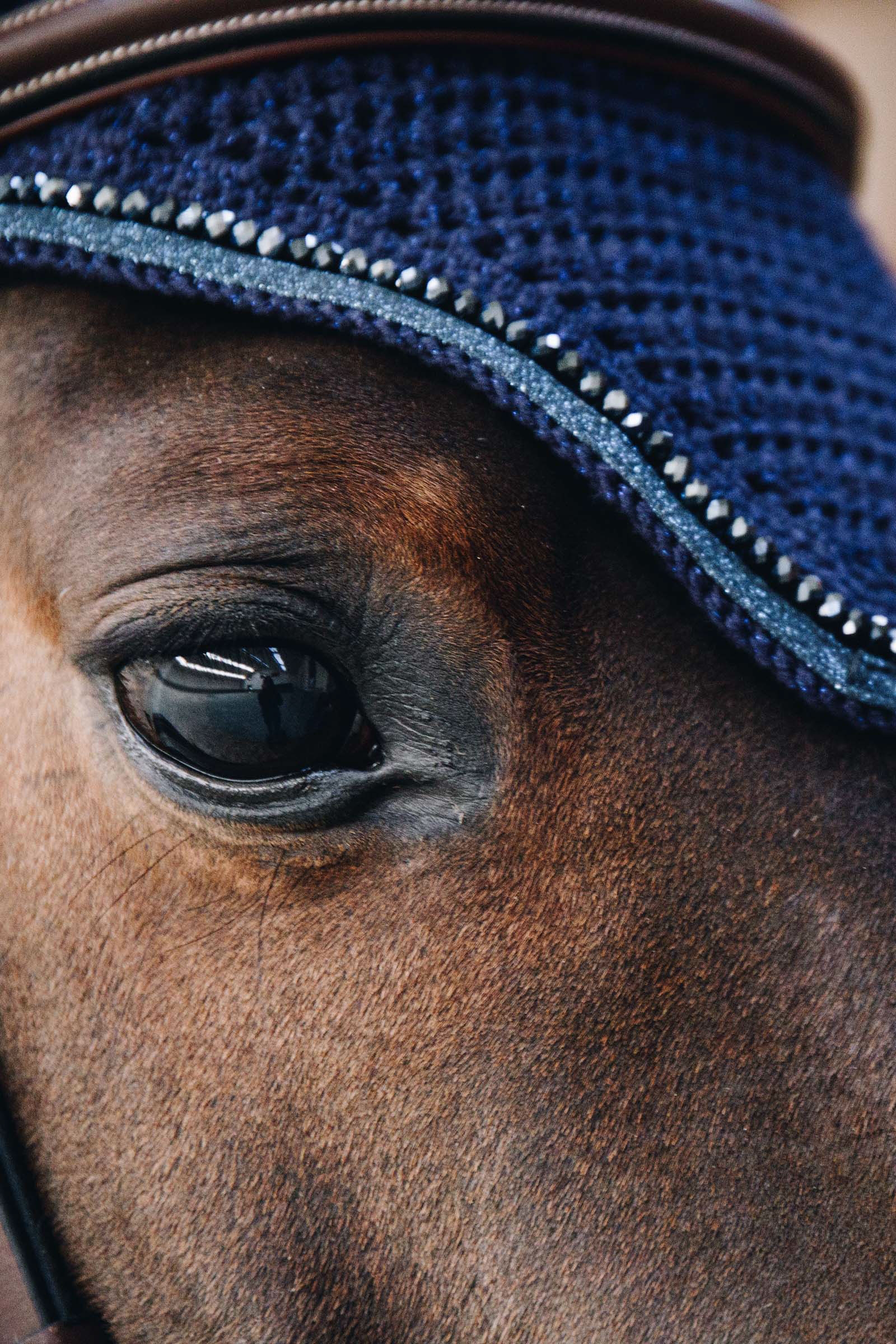 Kentucky Horsewear Wellington glitter fly veil  