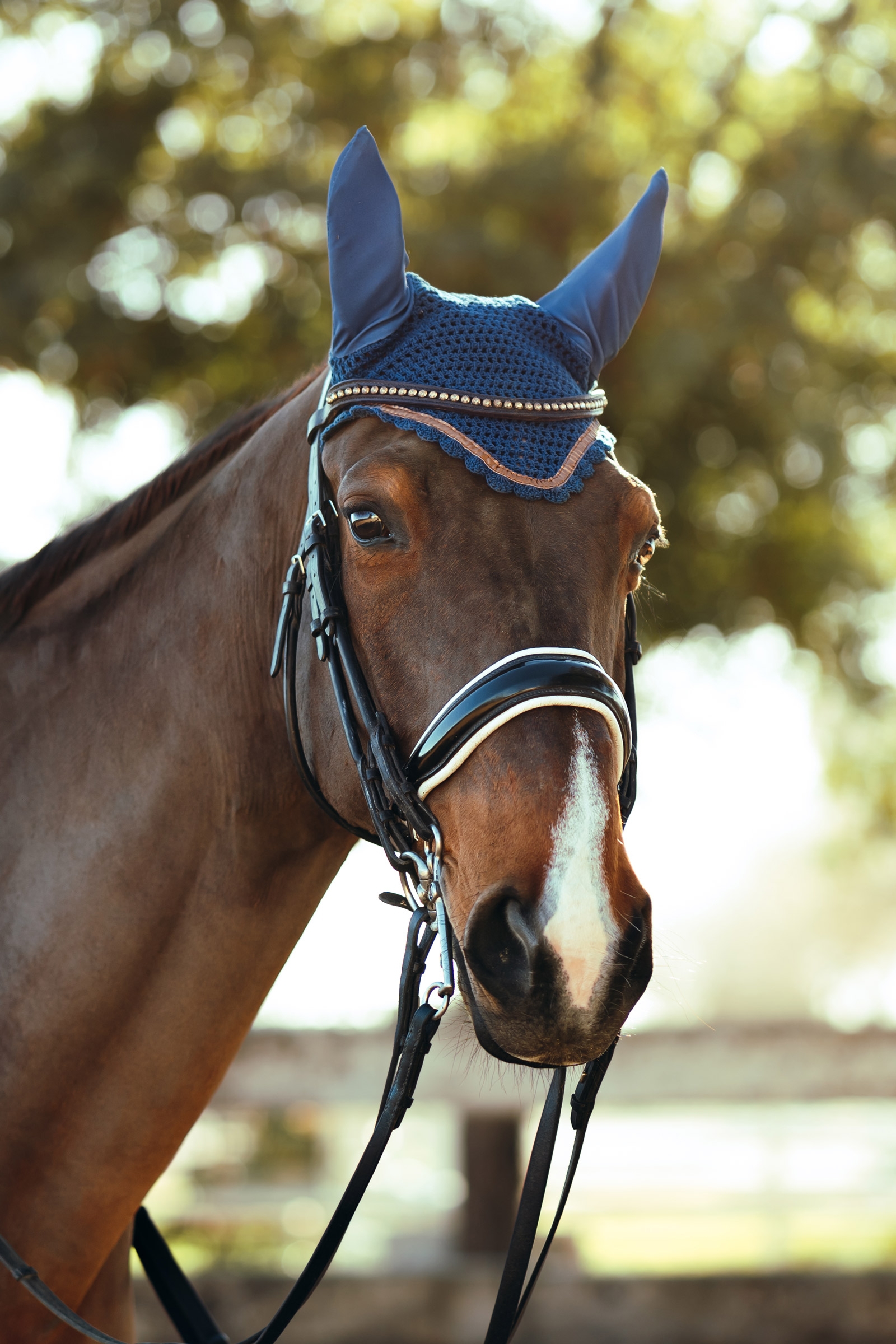 Horze Munich Ear Net with Metallic Detail