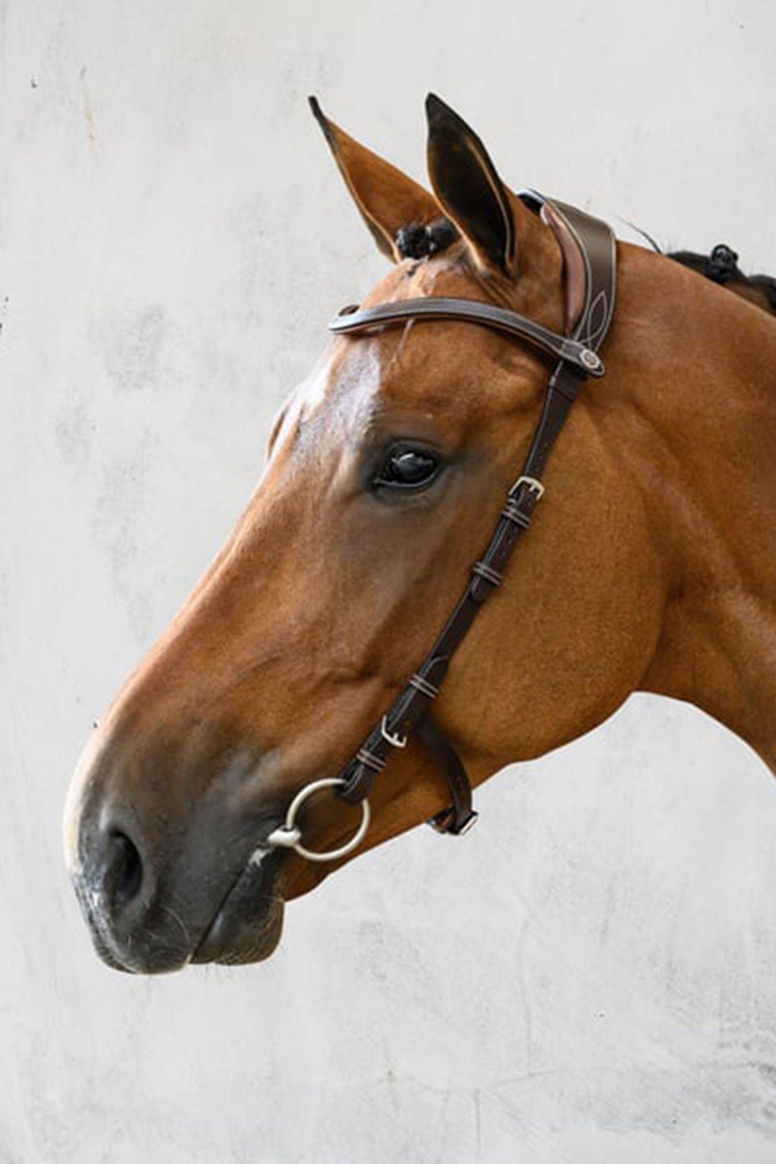 PS of Sweden Bridle Helsinki