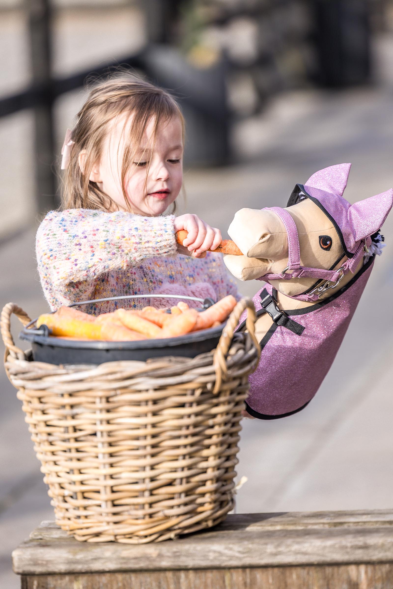 My Hobby Horse Rug & Fly Veil
