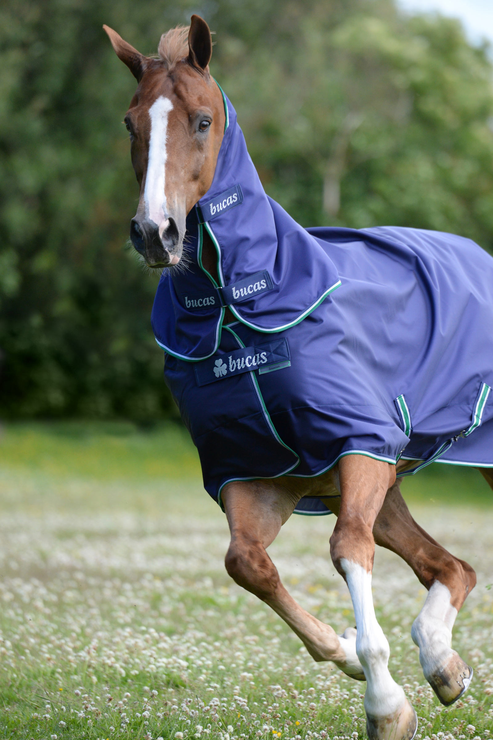 Bucas Smartex Rain Turnout Rug, 0g