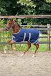 Bucas Foal Turnout Rug, 50g