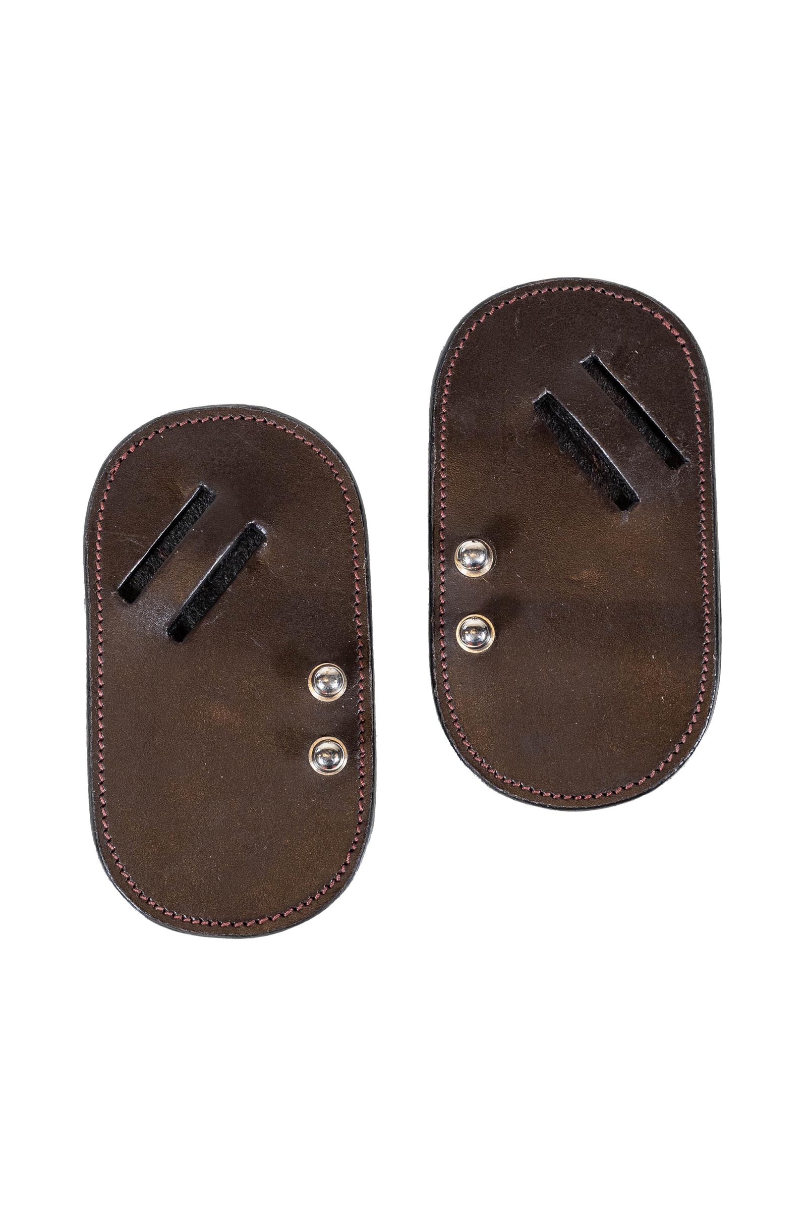 Dy'on Hackamore Protection