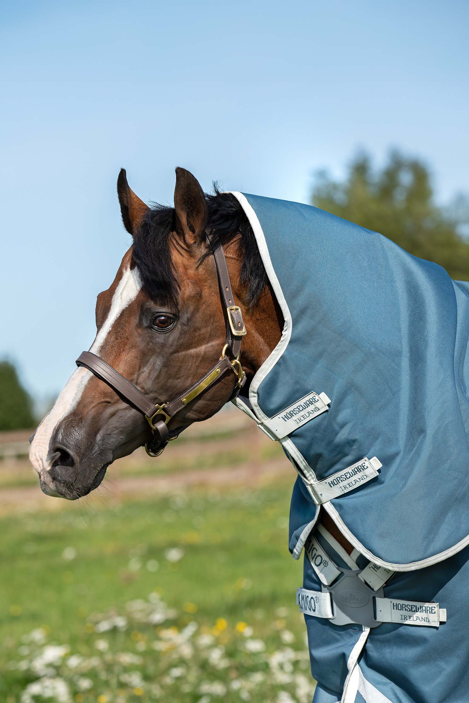 Horseware Amigo AmEco 12 Plus Turnout Rug With Detachable Neck, 100g