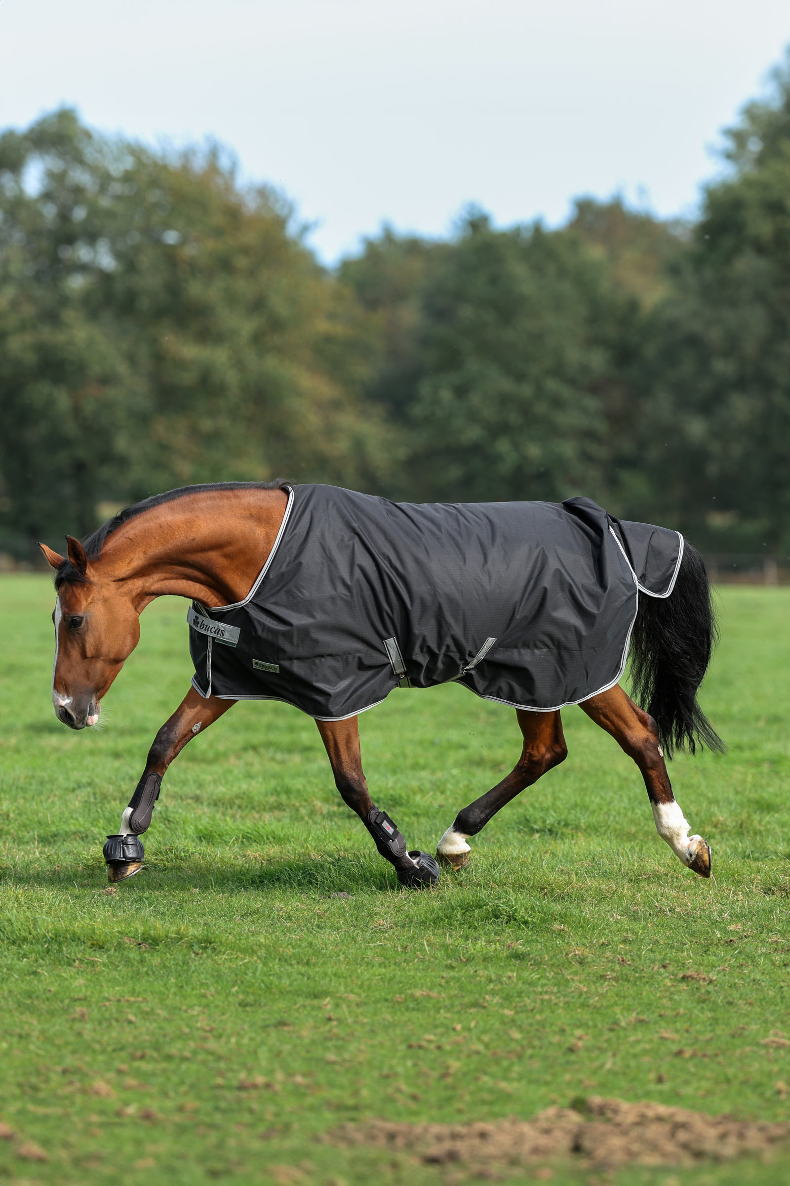Bucas Anniversary SF Light Rain Turnout Rug, 50g