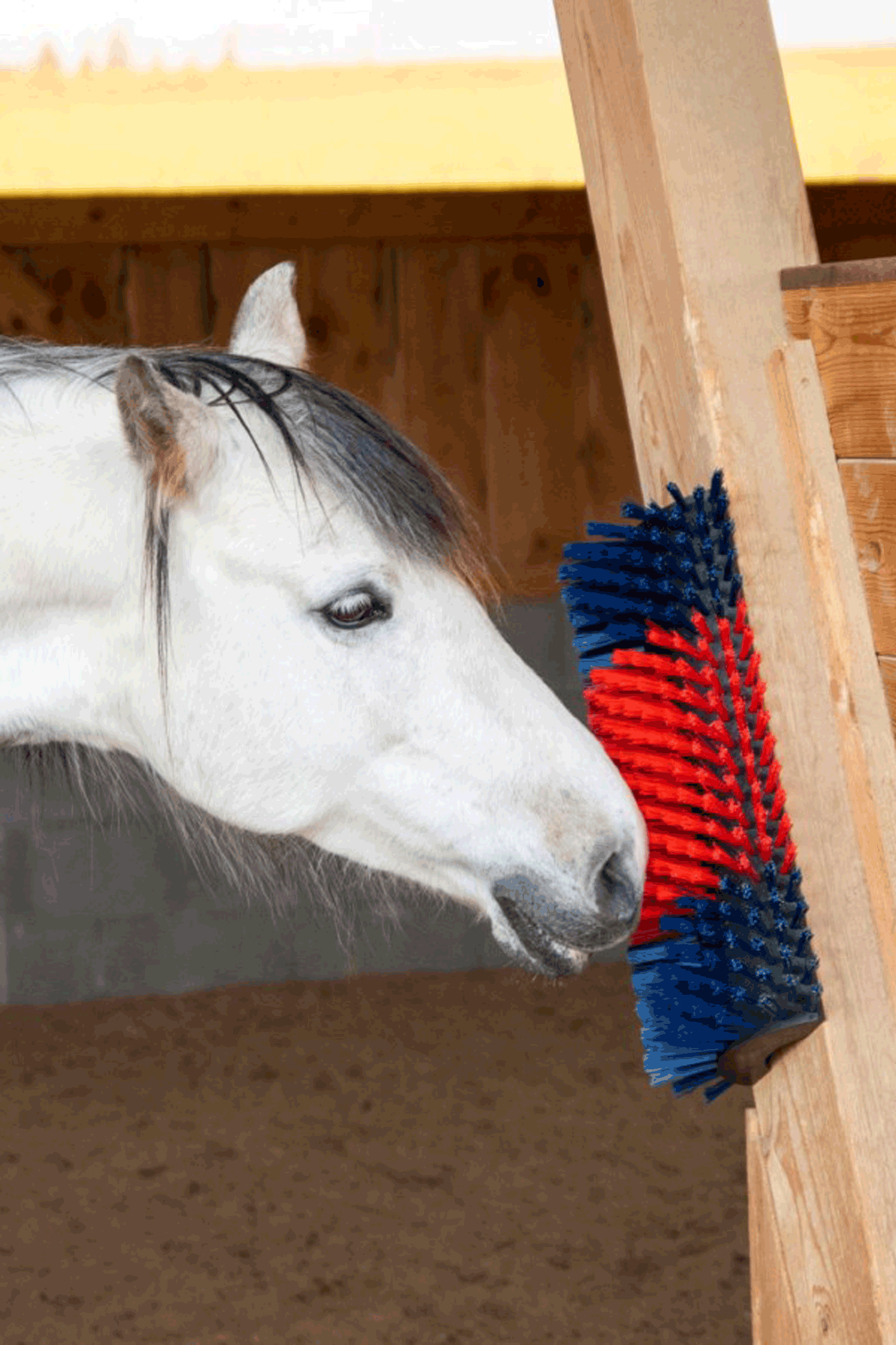 Kerbl XL Scratch Brush, Round