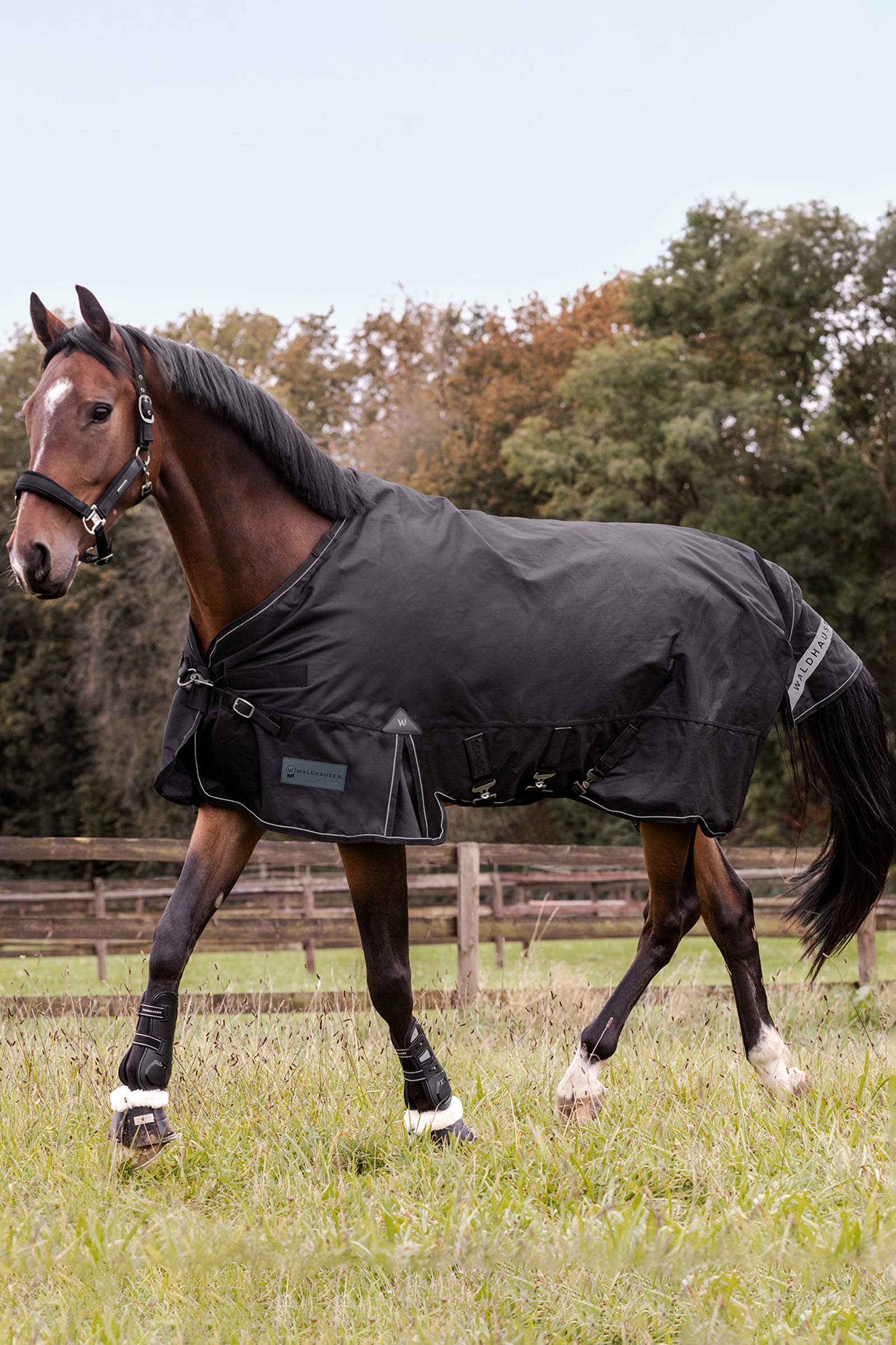 Waldhausen Outdoor Rug Scandic Light