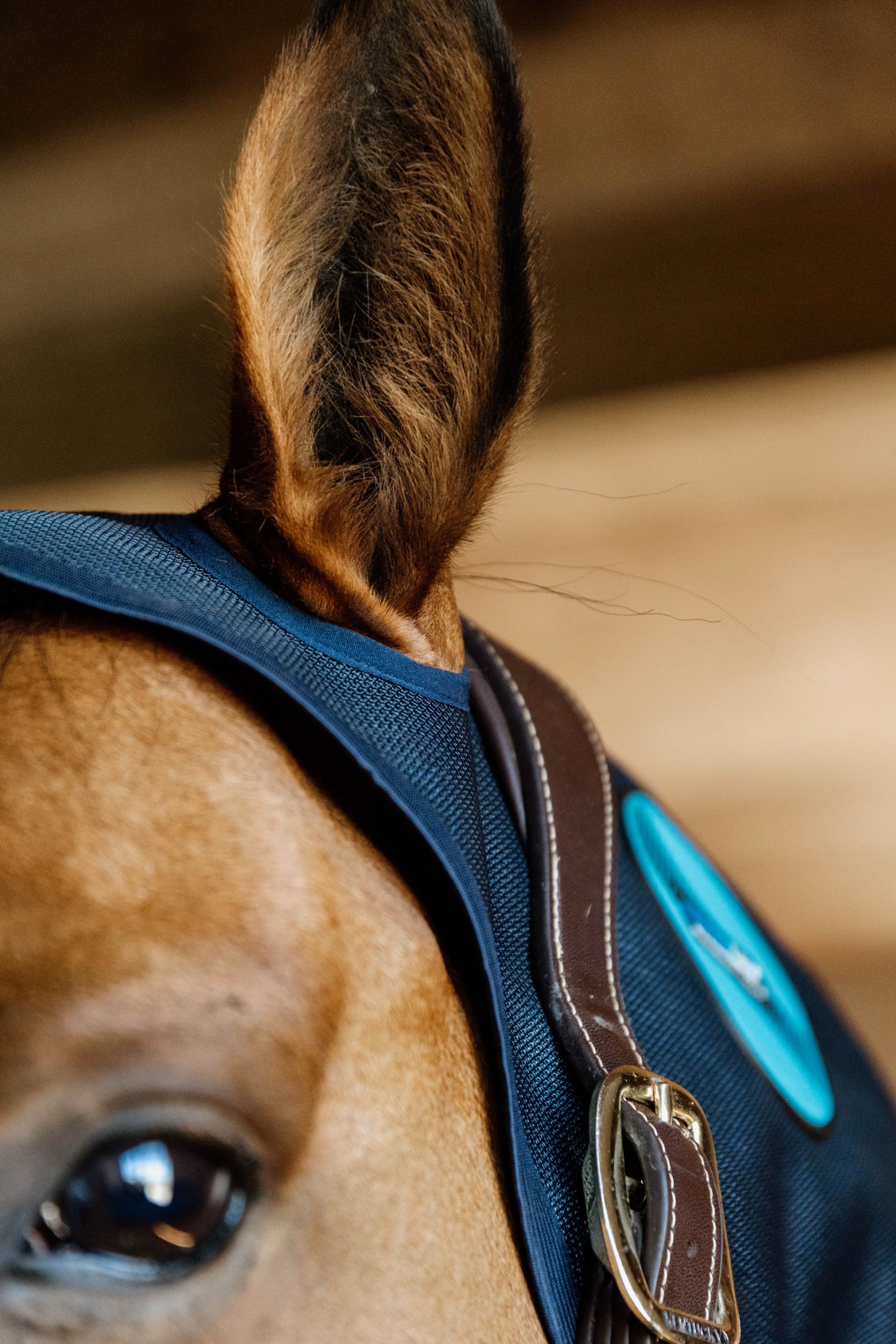 Kentucky Horseware Recuptex Magnetic Neck Protector