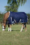 Weatherbeeta Comfitec Essential Plus Turnout Rug, 50g