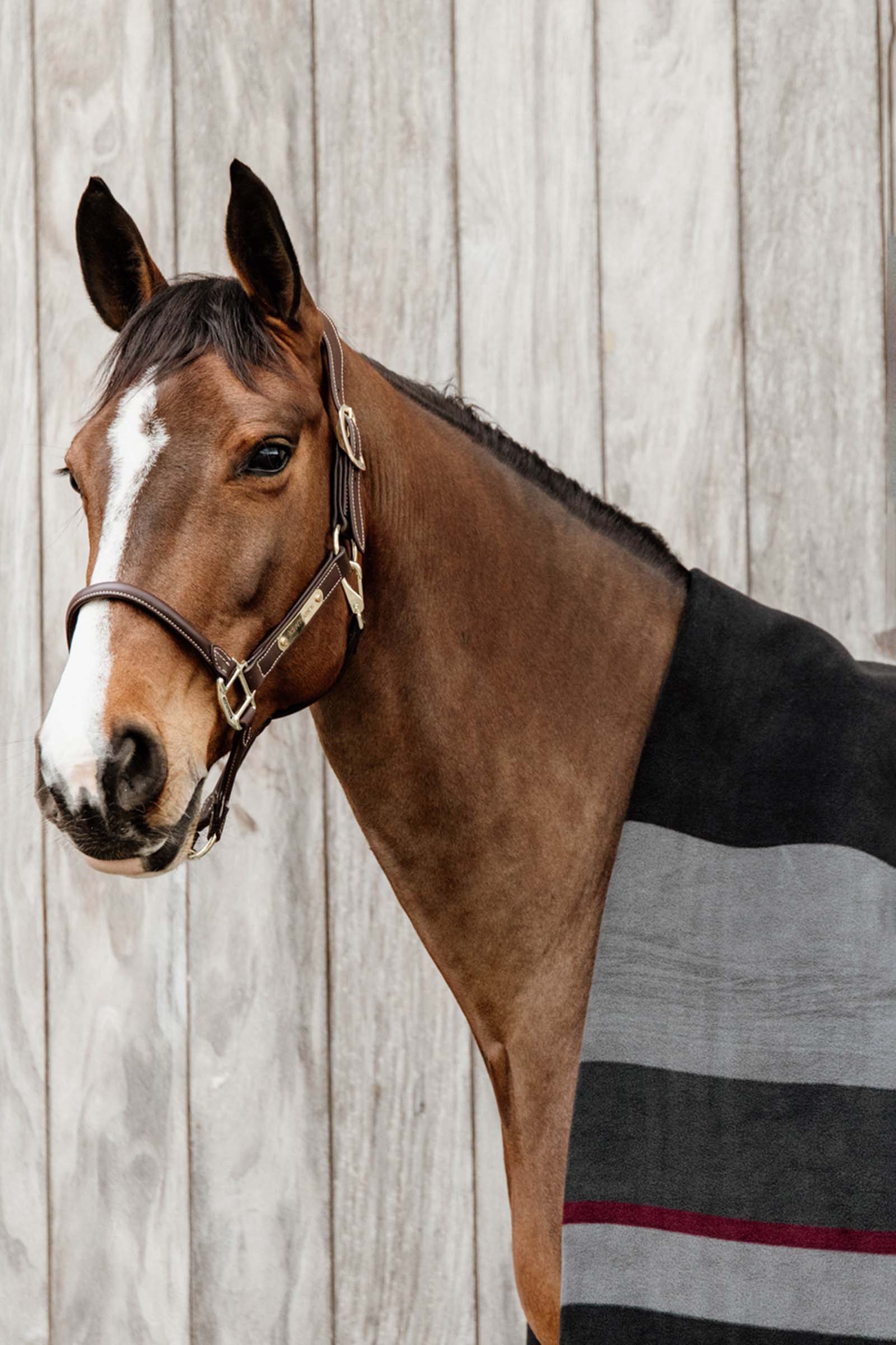 Kentucky Horsewear Heavy Fleece Rug Square