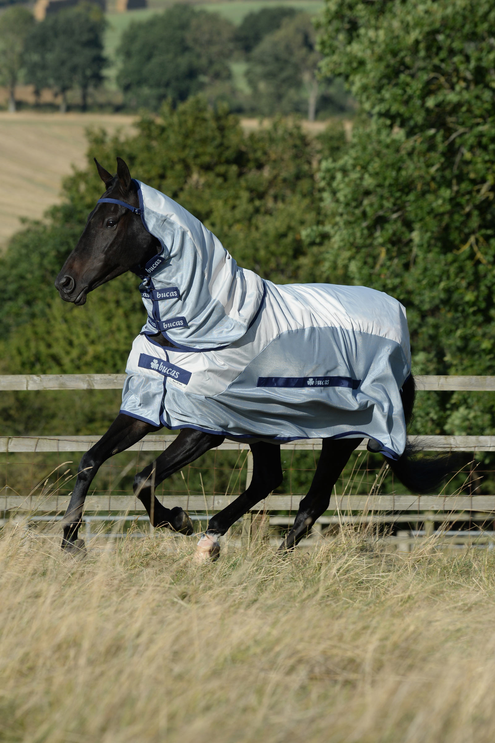 Bucas Buzz-off Rain Fly & Rug with Removable Neck