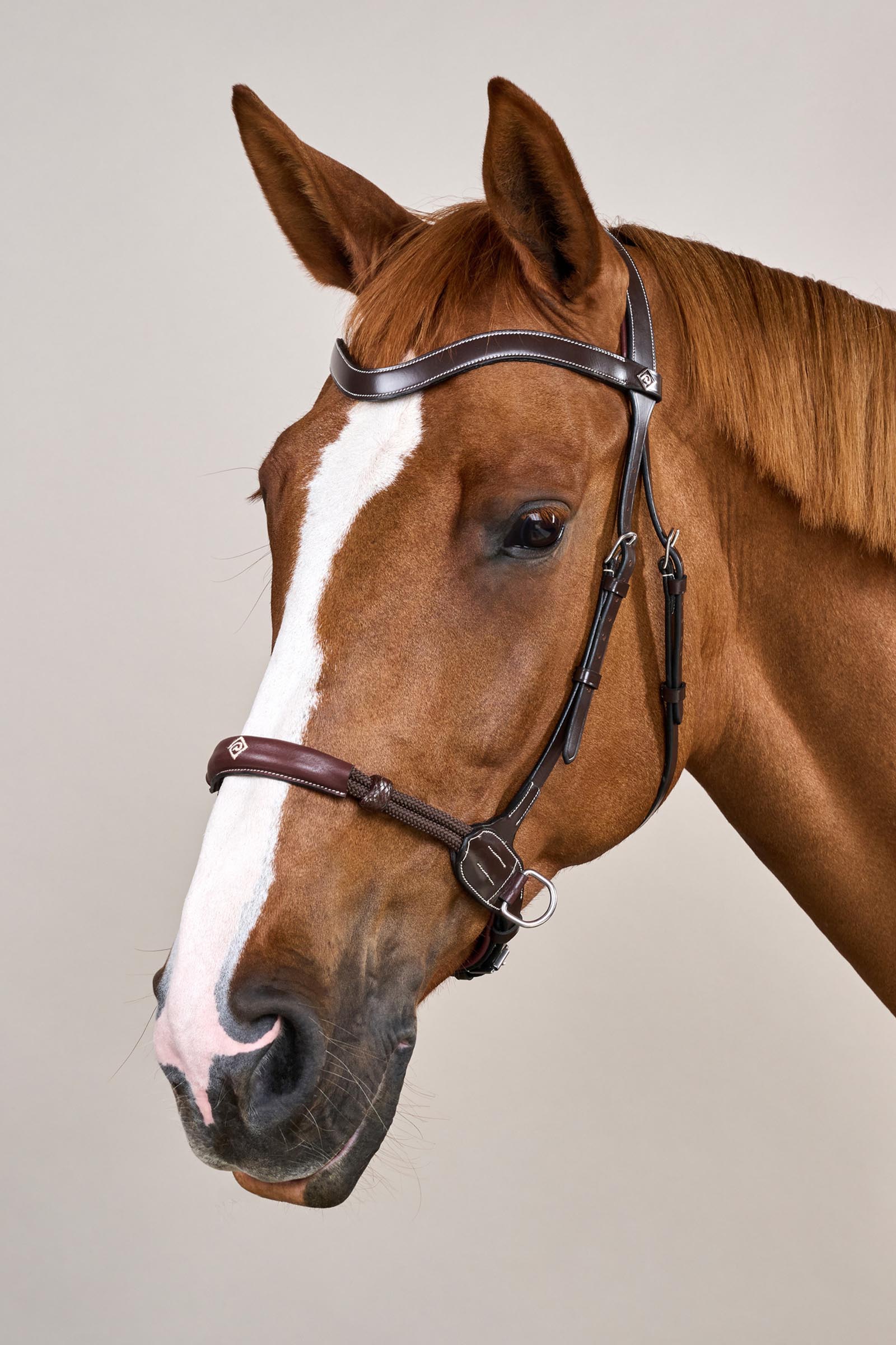 Dy'on Working Bitless Bridle