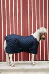 Kentucky Horsewear Tiny Pony Stable Rug, 400g