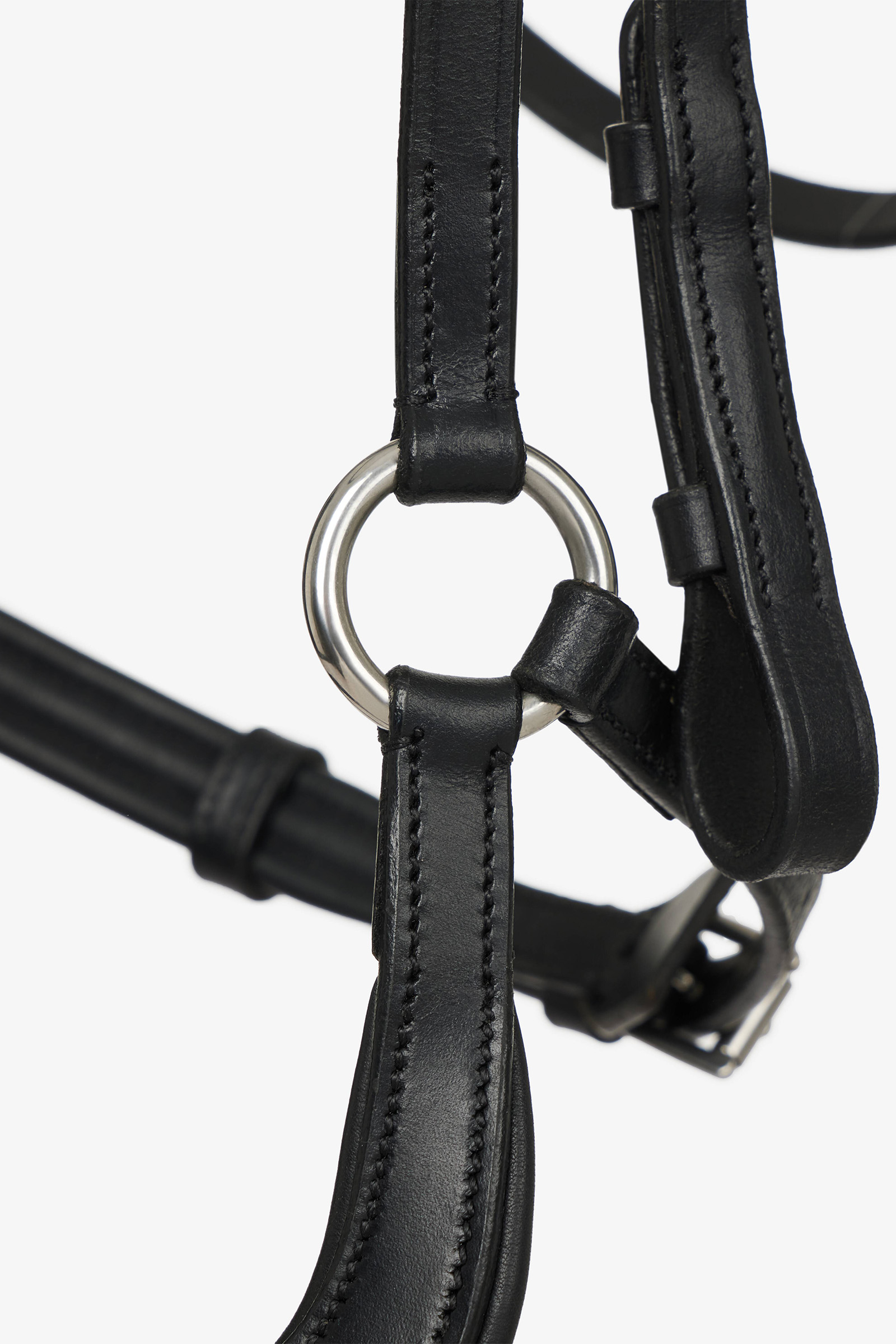 LeMieux Arika Drop Bridle