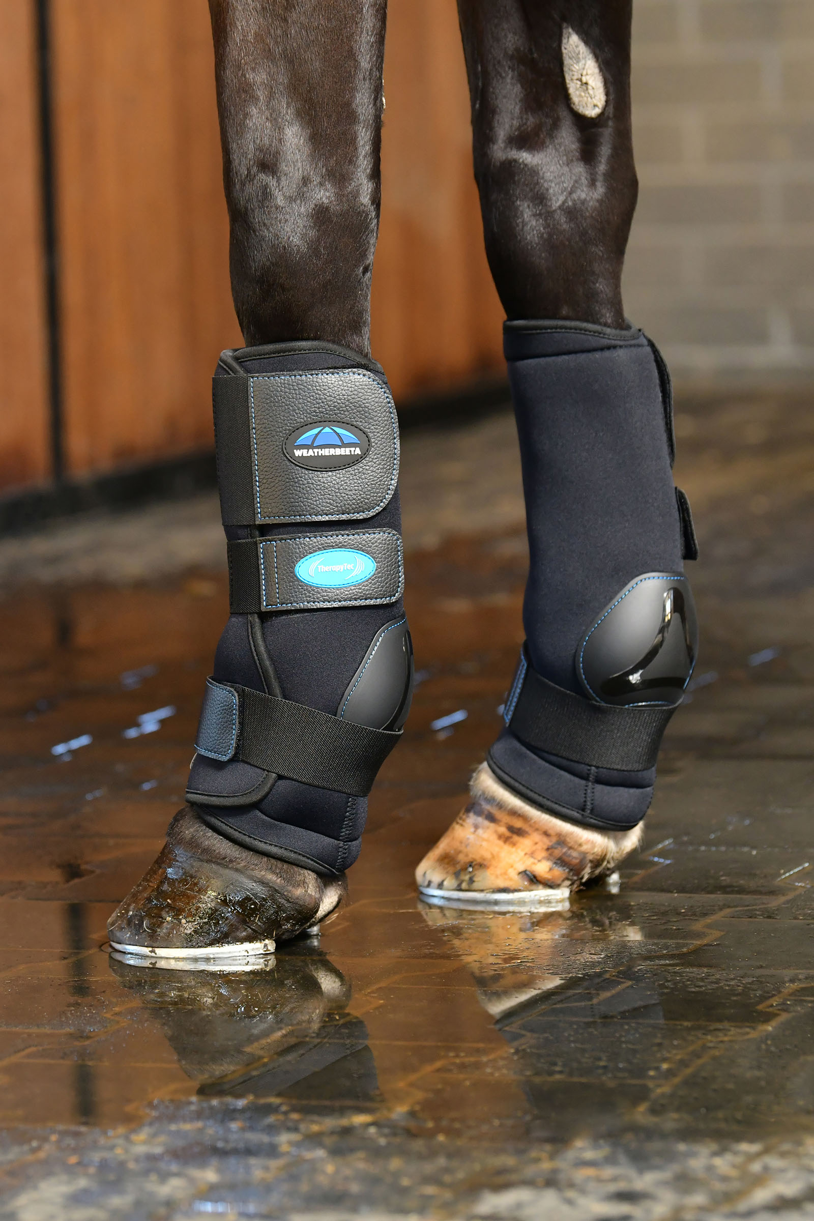 Weatherbeeta Therapy-Tec Ii Ultra Cool Ice Boots