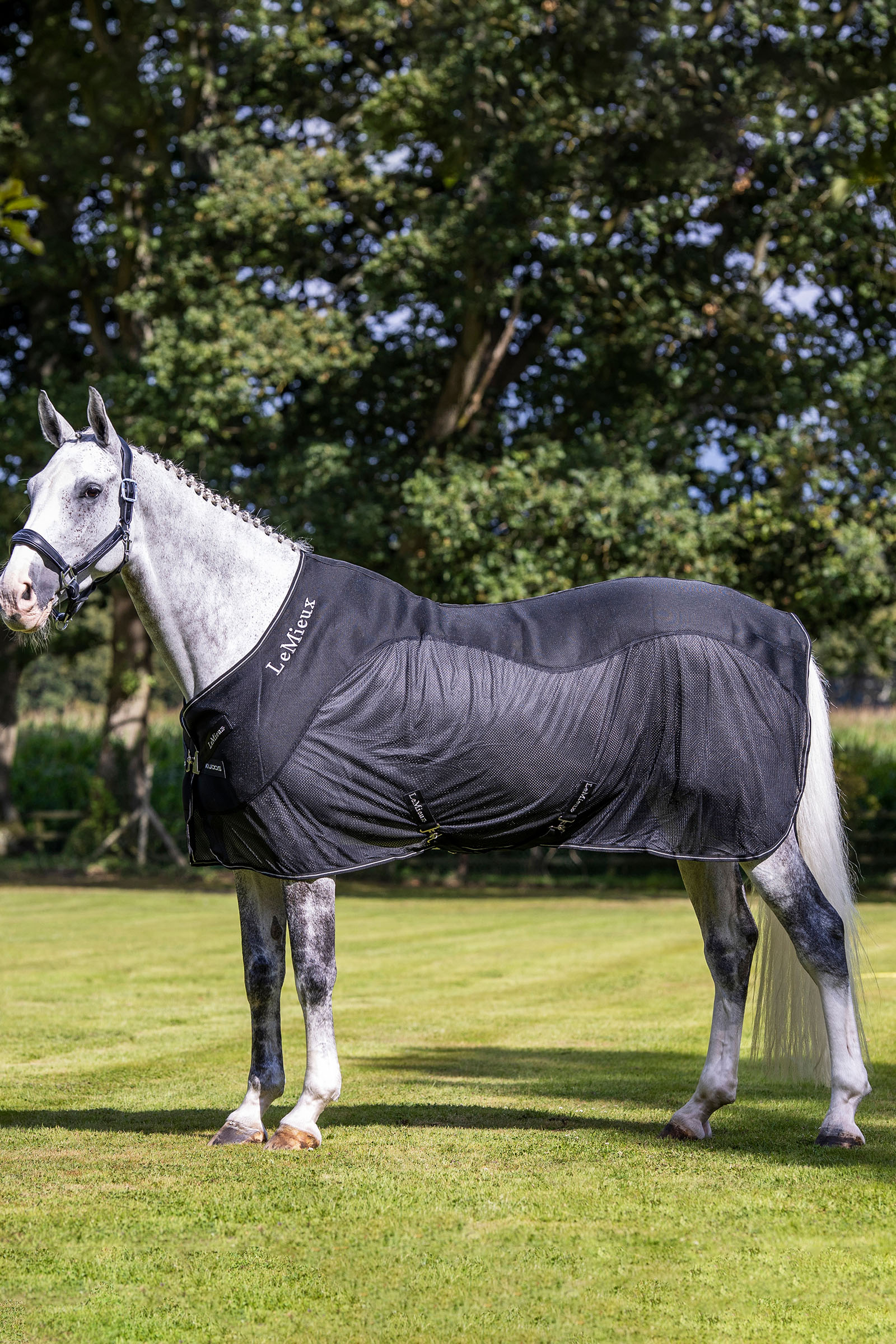 LeMieux Kudos Mesh Sports Cooler Rug