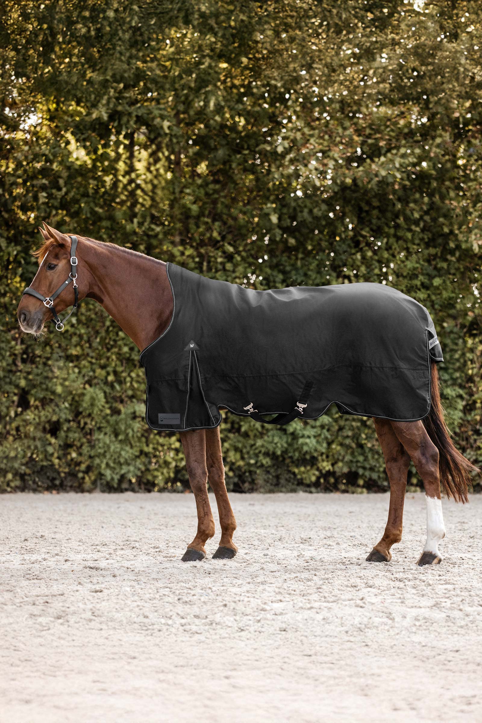 Waldhausen Arctic Turnout Rug With High Neck, 0g