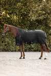 Waldhausen Arctic Turnout Rug With High Neck, 0g