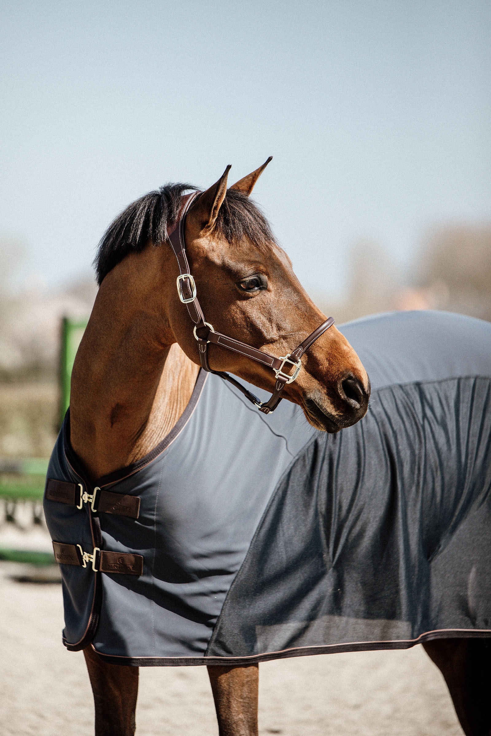 Kentucky Horsewear Softshell Cooler