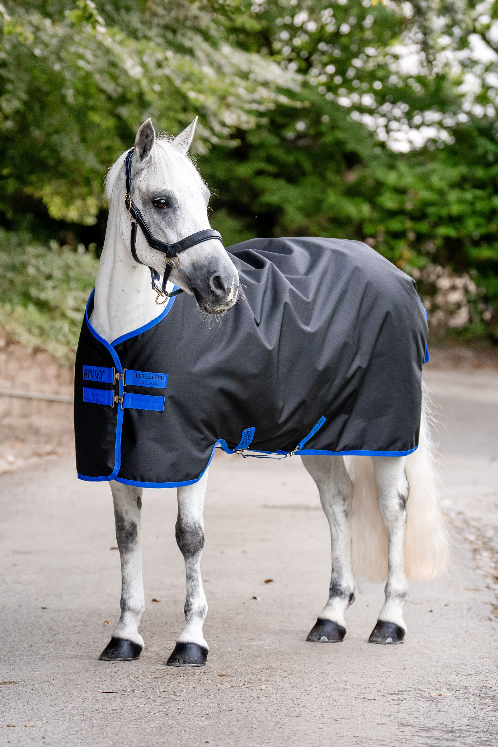 Black/Classic Blue Horseware Amigo Ripstop 900D Turnout 0g