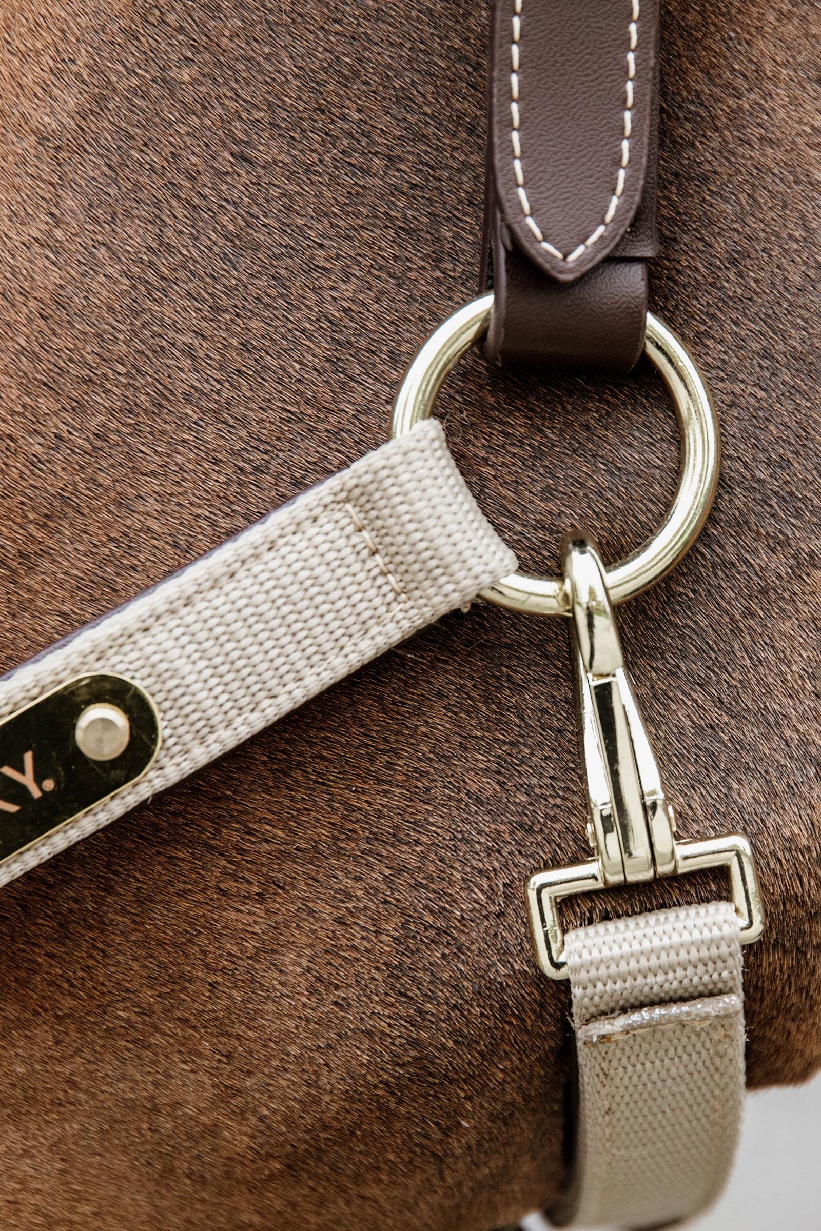 Kentucky Horsewear Anatomic Nylon Halter