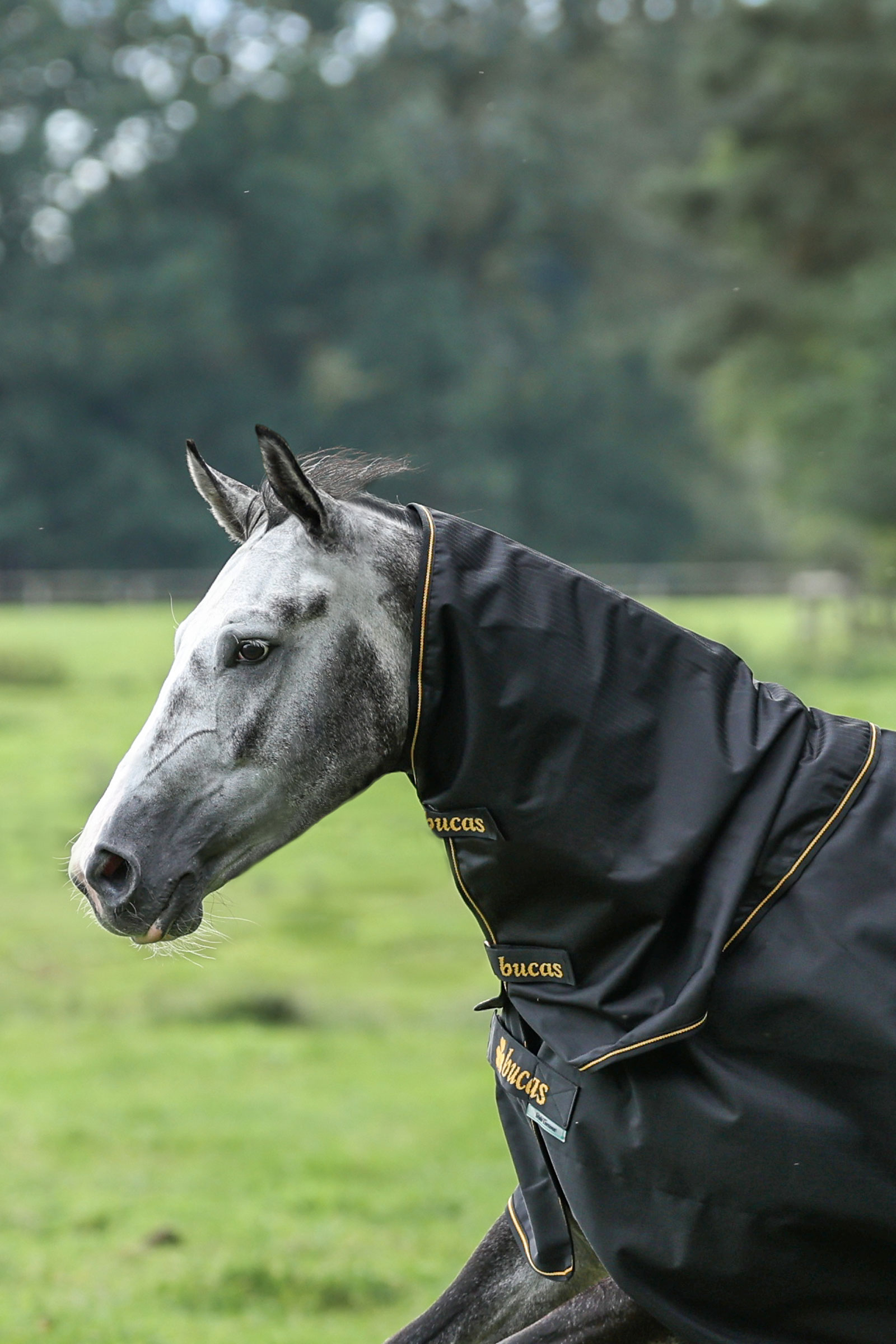 Bucas Irish Turnout Neck Piece, 0g