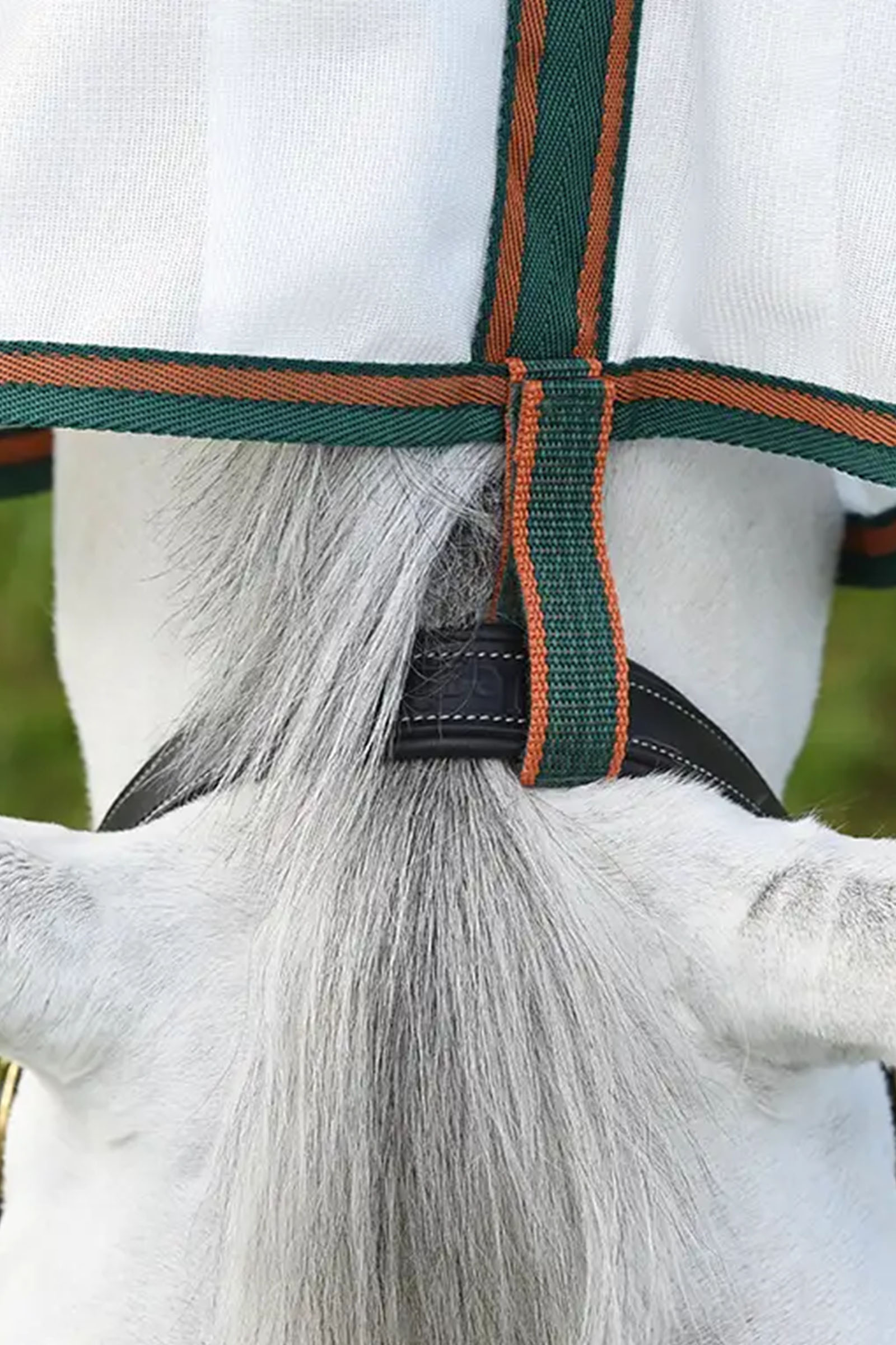 Weatherbeeta Comfitec Tyro Mesh Combo Neck