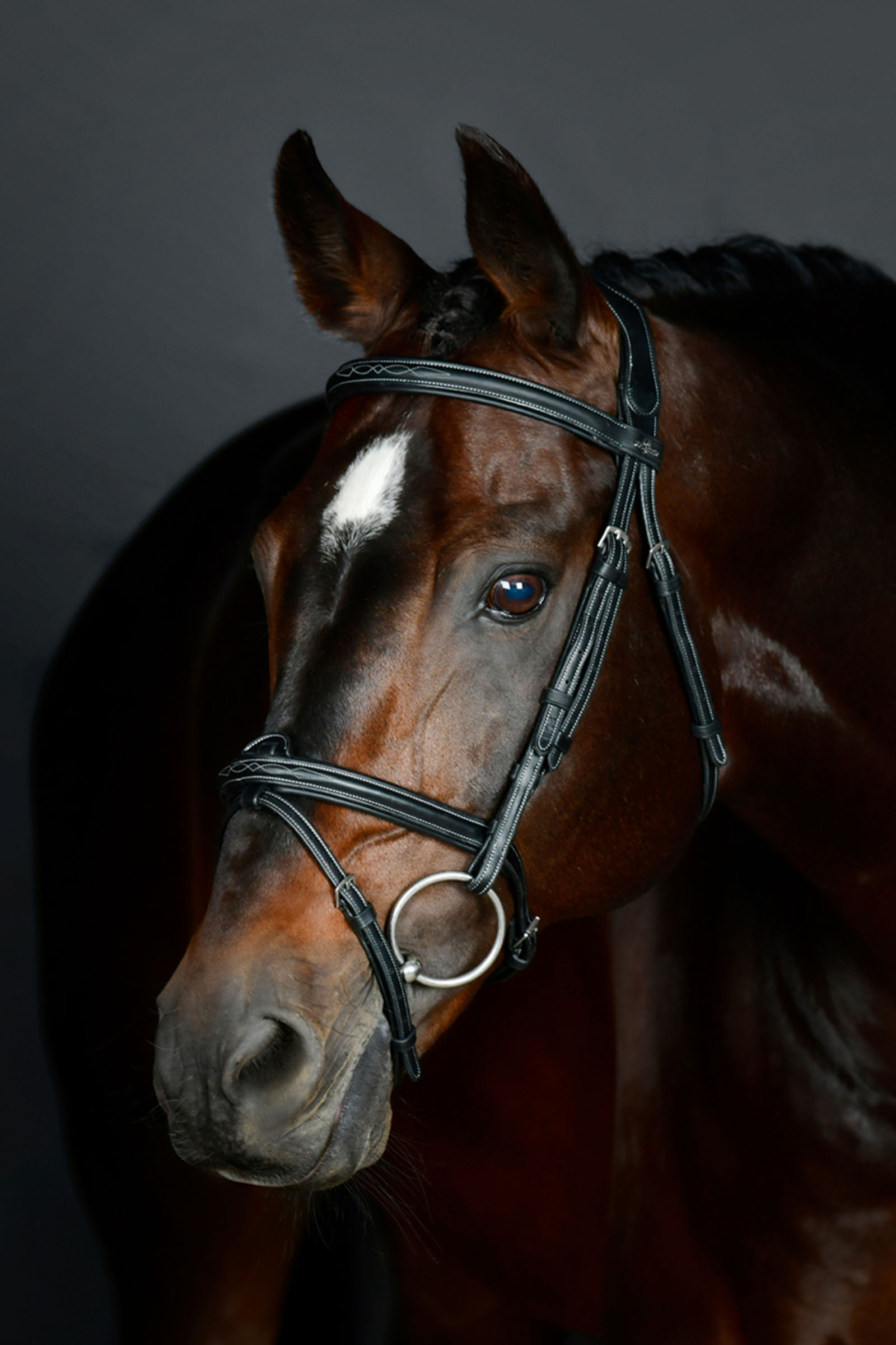 Black Collegiate Comfitec Opulux Fancy Stitch Padded Hanoverian Bridle