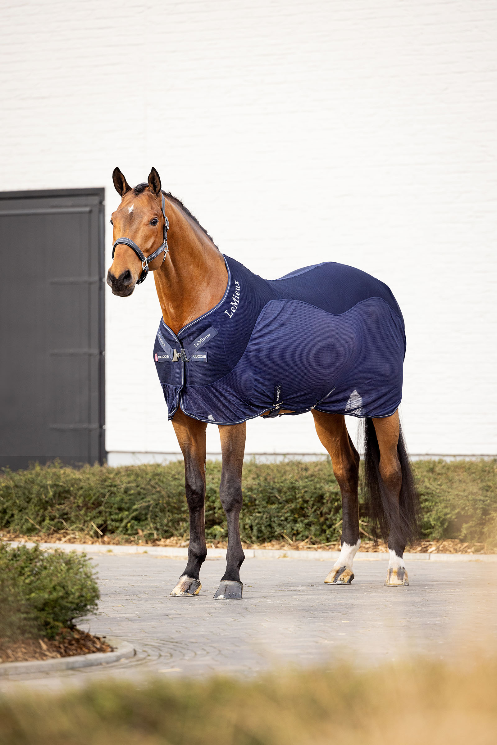 Navy LeMieux Kudos Mesh Sports Cooler Rug